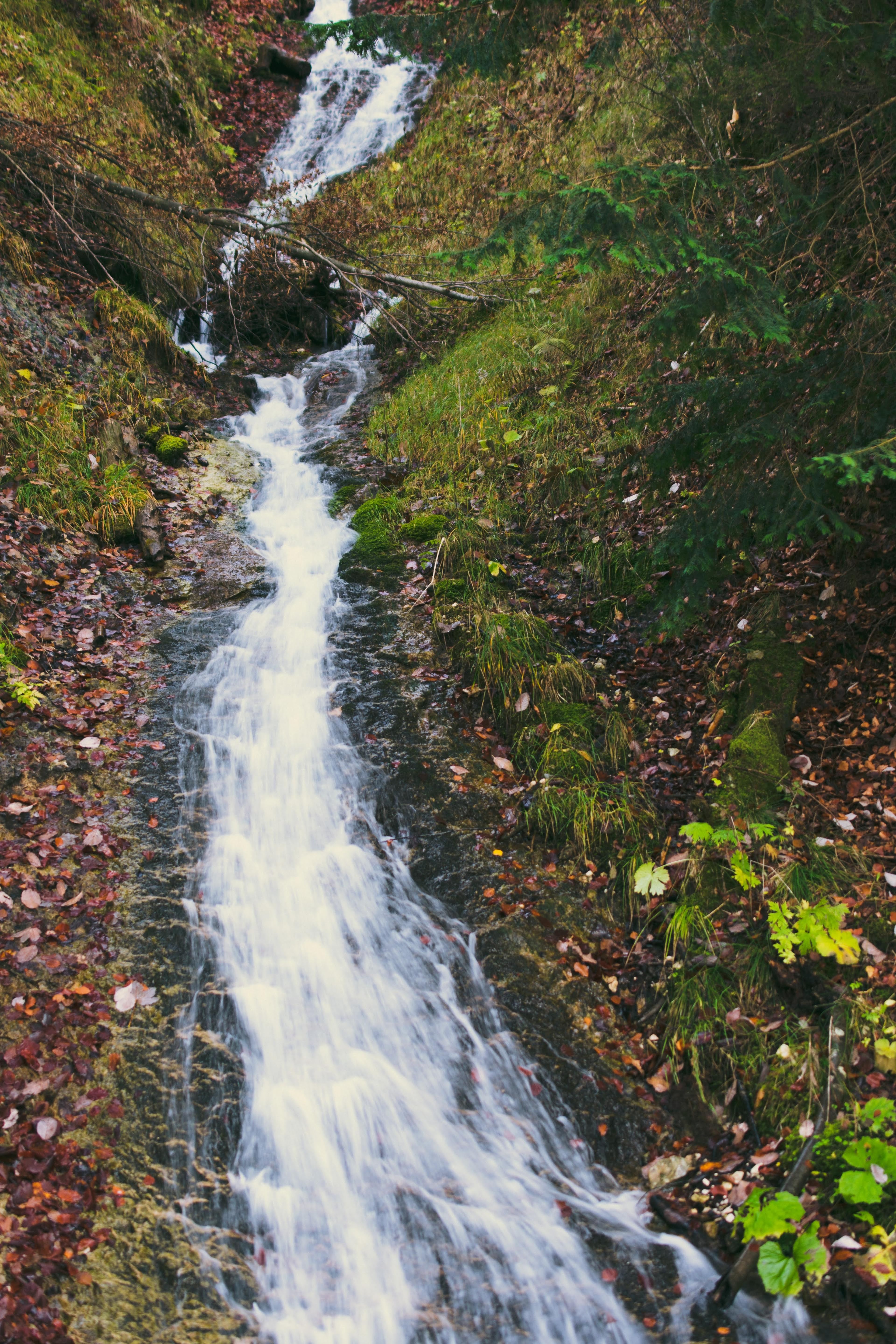 Silky Water Down a Mossy Slope​​​​‌﻿‍﻿​‍​‍‌‍﻿﻿‌﻿​‍‌‍‍‌‌‍‌﻿‌‍‍‌‌‍﻿‍​‍​‍​﻿‍‍​‍​‍‌﻿​﻿‌‍​‌‌‍﻿‍‌‍‍‌‌﻿‌​‌﻿‍‌​‍﻿‍‌‍‍‌‌‍﻿﻿​‍​‍​‍﻿​​‍​‍‌‍‍​‌﻿​‍‌‍‌‌‌‍‌‍​‍​‍​﻿‍‍​‍​‍‌‍‍​‌﻿‌​‌﻿‌​‌﻿​​​﻿‍‍​‍﻿﻿​‍﻿﻿‌‍﻿​‌‍﻿﻿‌‍​﻿‌‍​‌‌‍﻿​‌‍‍​‌‍﻿﻿‌﻿​﻿‌﻿‌​​﻿‍‍​﻿​﻿​﻿​﻿​﻿​﻿​﻿​﻿​‍﻿﻿‌‍‍‌‌‍﻿‍‌﻿‌​‌‍‌‌‌‍﻿‍‌﻿‌​​‍﻿﻿‌‍‌‌‌‍‌​‌‍‍‌‌﻿‌​​‍﻿﻿‌‍﻿‌‌‍﻿﻿‌‍‌​‌‍‌‌​﻿﻿‌‌﻿​​‌﻿​‍‌‍‌‌‌﻿​﻿‌‍‌‌‌‍﻿‍‌﻿‌​‌‍​‌‌﻿‌​‌‍‍‌‌‍﻿﻿‌‍﻿‍​﻿‍﻿‌‍‍‌‌‍‌​​﻿﻿‌​﻿‍​‌‍‌‍​﻿​‍‌‍​﻿​﻿‌‍‌‍​﻿​﻿‌​‌‍​‌​‍﻿‌​﻿​‍‌‍​﻿‌‍​﻿​﻿‌﻿​‍﻿‌​﻿‌​‌‍​﻿‌‍‌‍​﻿‌‍​‍﻿‌​﻿‍‌‌‍​‍​﻿​﻿​﻿‌‍​‍﻿‌‌‍‌​​﻿‍‌‌‍​‌​﻿‌﻿‌‍​‌​﻿‌﻿​﻿​‍‌‍​‌​﻿​‌‌‍‌​‌‍​‍‌‍​﻿​﻿‍﻿‌﻿‌​‌﻿‍‌‌﻿​​‌‍‌‌​﻿﻿‌‌﻿​​‌‍‍​‌‍﻿﻿‌﻿‌​‌‍﻿﻿​﻿‍﻿‌﻿​​‌‍​‌‌﻿‌​‌‍‍​​﻿﻿‌‌﻿‌​‌‍‍‌‌﻿‌​‌‍﻿​‌‍‌‌​﻿﻿﻿‌‍​‍‌‍​‌‌﻿​﻿‌‍‌‌‌‌‌‌‌﻿​‍‌‍﻿​​﻿﻿‌‌‍‍​‌﻿‌​‌﻿‌​‌﻿​​​‍‌‌​﻿​﻿‌​​‌​‍‌‌​﻿​‍‌​‌‍​‍‌‌​﻿​‍‌​‌‍‌‍﻿​‌‍﻿﻿‌‍​﻿‌‍​‌‌‍﻿​‌‍‍​‌‍﻿﻿‌﻿​﻿‌﻿‌​​‍‌‌​﻿​﻿‌​​‌​﻿​﻿​﻿​﻿​﻿​﻿​﻿​﻿​‍‌‍‌‍‍‌‌‍‌​​﻿﻿‌​﻿‍​‌‍‌‍​﻿​‍‌‍​﻿​﻿‌‍‌‍​﻿​﻿‌​‌‍​‌​‍﻿‌​﻿​‍‌‍​﻿‌‍​﻿​﻿‌﻿​‍﻿‌​﻿‌​‌‍​﻿‌‍‌‍​﻿‌‍​‍﻿‌​﻿‍‌‌‍​‍​﻿​﻿​﻿‌‍​‍﻿‌‌‍‌​​﻿‍‌‌‍​‌​﻿‌﻿‌‍​‌​﻿‌﻿​﻿​‍‌‍​‌​﻿​‌‌‍‌​‌‍​‍‌‍​﻿​‍‌‍‌﻿‌​‌﻿‍‌‌﻿​​‌‍‌‌​﻿﻿‌‌﻿​​‌‍‍​‌‍﻿﻿‌﻿‌​‌‍﻿﻿​‍‌‍‌﻿​​‌‍​‌‌﻿‌​‌‍‍​​﻿﻿‌‌﻿‌​‌‍‍‌‌﻿‌​‌‍﻿​‌‍‌‌​‍‌‍‌﻿​​‌‍‌‌‌﻿​‍‌﻿​﻿‌﻿​​‌‍‌‌‌‍​﻿‌﻿‌​‌‍‍‌‌﻿‌‍‌‍‌‌​﻿﻿‌‌﻿​​‌﻿‌‌‌‍​‍‌‍﻿​‌‍‍‌‌﻿​﻿‌‍‍​‌‍‌‌‌‍‌​​‍​‍‌﻿﻿‌