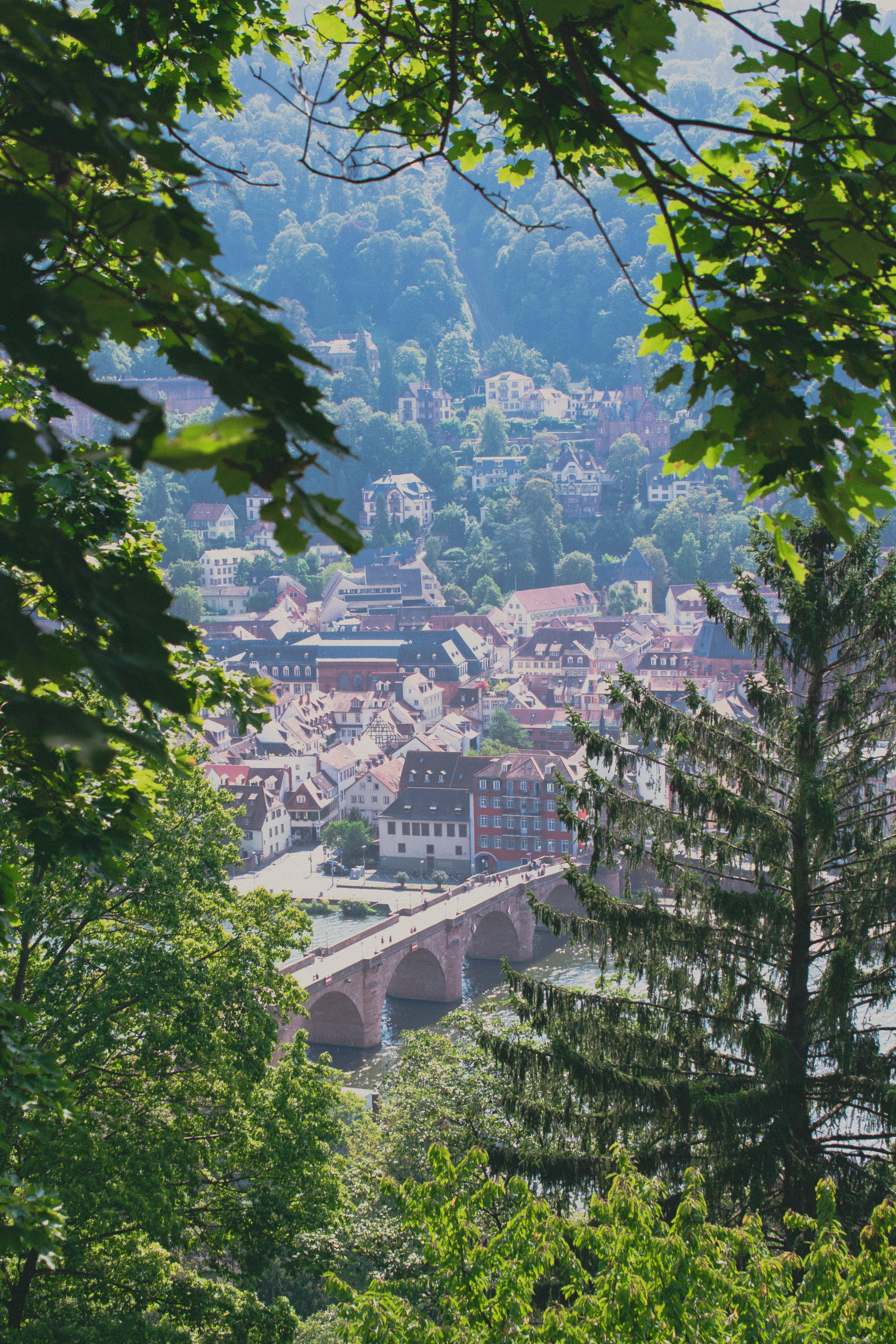 Alte Brücke​​​​‌﻿‍﻿​‍​‍‌‍﻿﻿‌﻿​‍‌‍‍‌‌‍‌﻿‌‍‍‌‌‍﻿‍​‍​‍​﻿‍‍​‍​‍‌﻿​﻿‌‍​‌‌‍﻿‍‌‍‍‌‌﻿‌​‌﻿‍‌​‍﻿‍‌‍‍‌‌‍﻿﻿​‍​‍​‍﻿​​‍​‍‌‍‍​‌﻿​‍‌‍‌‌‌‍‌‍​‍​‍​﻿‍‍​‍​‍‌‍‍​‌﻿‌​‌﻿‌​‌﻿​​​﻿‍‍​‍﻿﻿​‍﻿﻿‌‍﻿​‌‍﻿﻿‌‍​﻿‌‍​‌‌‍﻿​‌‍‍​‌‍﻿﻿‌﻿​﻿‌﻿‌​​﻿‍‍​﻿​﻿​﻿​﻿​﻿​﻿​﻿​﻿​‍﻿﻿‌‍‍‌‌‍﻿‍‌﻿‌​‌‍‌‌‌‍﻿‍‌﻿‌​​‍﻿﻿‌‍‌‌‌‍‌​‌‍‍‌‌﻿‌​​‍﻿﻿‌‍﻿‌‌‍﻿﻿‌‍‌​‌‍‌‌​﻿﻿‌‌﻿​​‌﻿​‍‌‍‌‌‌﻿​﻿‌‍‌‌‌‍﻿‍‌﻿‌​‌‍​‌‌﻿‌​‌‍‍‌‌‍﻿﻿‌‍﻿‍​﻿‍﻿‌‍‍‌‌‍‌​​﻿﻿‌‌﻿‍​‌‍‍﻿‌‍‍​​﻿​‌‌​﻿​‌‍‌​‌‍﻿‌‌‌‍‌‌​​‌‌﻿‍​‌﻿‌‍‌​﻿​‌‌‍‌‌‍‍‍​﻿​​​﻿‌‌​﻿‌‍​﻿​‍‌​﻿‌‌‌‌‌‌﻿​﻿‌​​﻿​﻿‍﻿‌﻿‌​‌﻿‍‌‌﻿​​‌‍‌‌​﻿﻿‌‌﻿​​‌‍‍​‌‍﻿﻿‌﻿‌​‌‍﻿﻿​﻿‍﻿‌﻿​​‌‍​‌‌﻿‌​‌‍‍​​﻿﻿‌‌﻿‌​‌‍‍‌‌﻿‌​‌‍﻿​‌‍‌‌​﻿﻿﻿‌‍​‍‌‍​‌‌﻿​﻿‌‍‌‌‌‌‌‌‌﻿​‍‌‍﻿​​﻿﻿‌‌‍‍​‌﻿‌​‌﻿‌​‌﻿​​​‍‌‌​﻿​﻿‌​​‌​‍‌‌​﻿​‍‌​‌‍​‍‌‌​﻿​‍‌​‌‍‌‍﻿​‌‍﻿﻿‌‍​﻿‌‍​‌‌‍﻿​‌‍‍​‌‍﻿﻿‌﻿​﻿‌﻿‌​​‍‌‌​﻿​﻿‌​​‌​﻿​﻿​﻿​﻿​﻿​﻿​﻿​﻿​‍‌‍‌‍‍‌‌‍‌​​﻿﻿‌‌﻿‍​‌‍‍﻿‌‍‍​​﻿​‌‌​﻿​‌‍‌​‌‍﻿‌‌‌‍‌‌​​‌‌﻿‍​‌﻿‌‍‌​﻿​‌‌‍‌‌‍‍‍​﻿​​​﻿‌‌​﻿‌‍​﻿​‍‌​﻿‌‌‌‌‌‌﻿​﻿‌​​﻿​‍‌‍‌﻿‌​‌﻿‍‌‌﻿​​‌‍‌‌​﻿﻿‌‌﻿​​‌‍‍​‌‍﻿﻿‌﻿‌​‌‍﻿﻿​‍‌‍‌﻿​​‌‍​‌‌﻿‌​‌‍‍​​﻿﻿‌‌﻿‌​‌‍‍‌‌﻿‌​‌‍﻿​‌‍‌‌​‍‌‍‌﻿​​‌‍‌‌‌﻿​‍‌﻿​﻿‌﻿​​‌‍‌‌‌‍​﻿‌﻿‌​‌‍‍‌‌﻿‌‍‌‍‌‌​﻿﻿‌‌﻿​​‌﻿‌‌‌‍​‍‌‍﻿​‌‍‍‌‌﻿​﻿‌‍‍​‌‍‌‌‌‍‌​​‍​‍‌﻿﻿‌