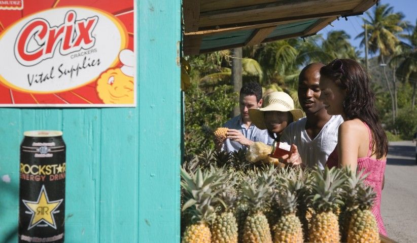 Why is Antigua the Ultimate Paradise for Digital Nomads?