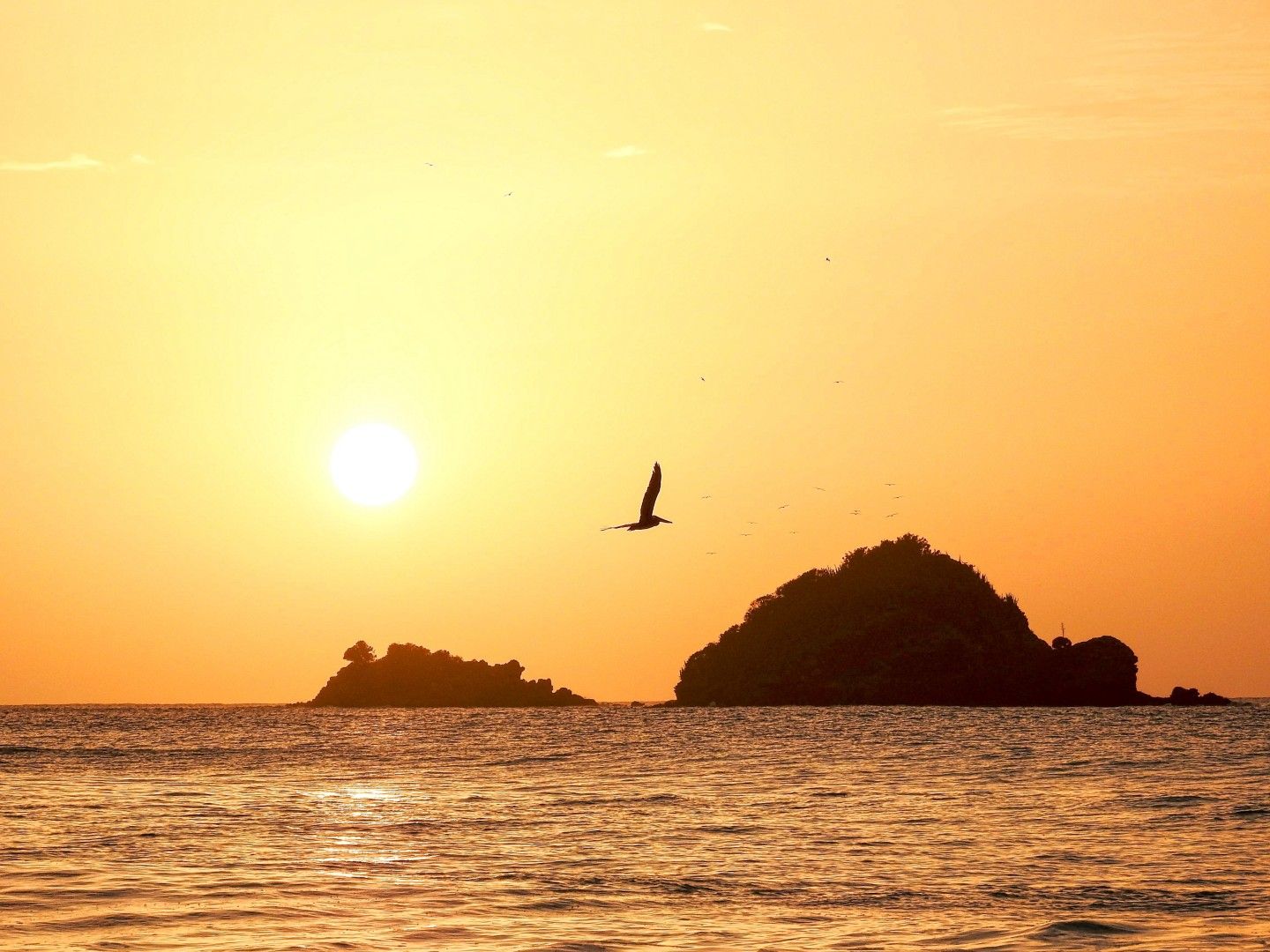 How Living by the Sea Improves Wellbeing