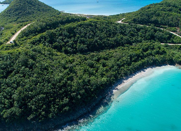 Secret Bay