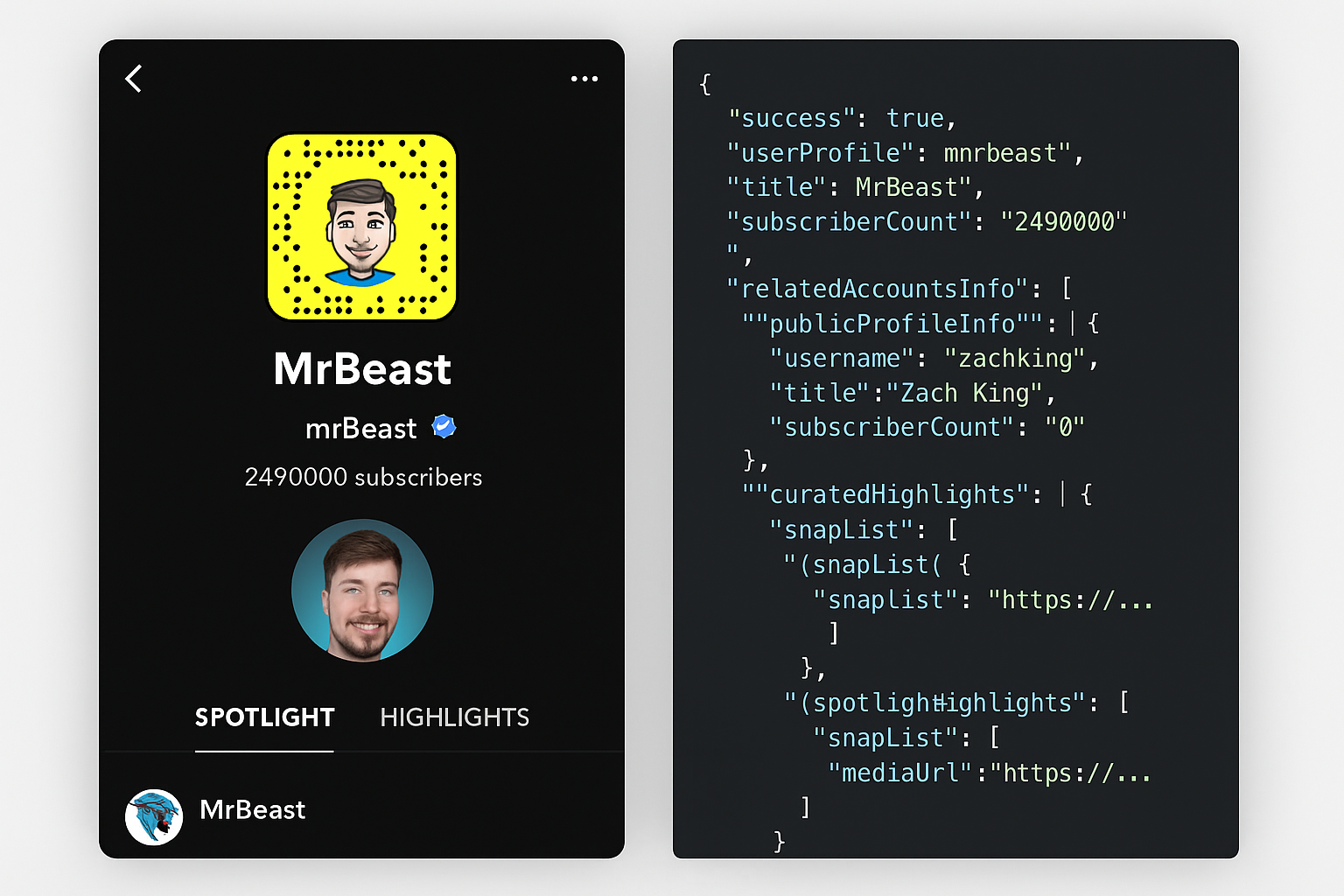Image of Mr Beasts Snapchat, and then the json sample of his profile