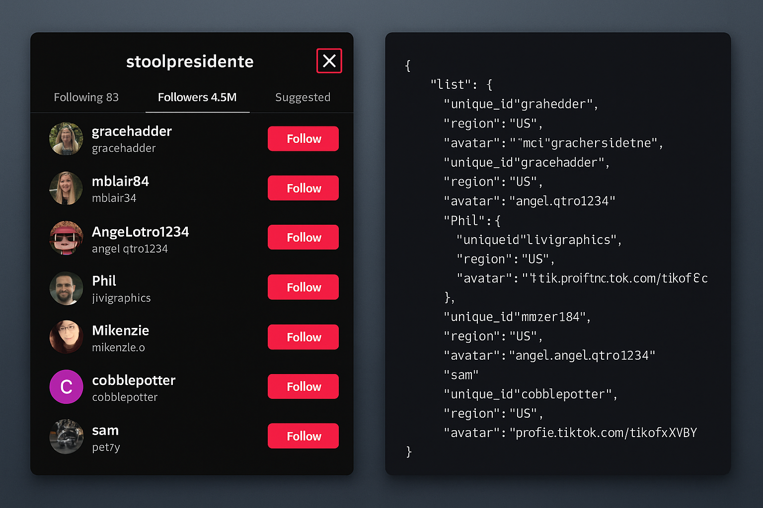 Picture of a Tiktok users followers on the left and the json representation on the right