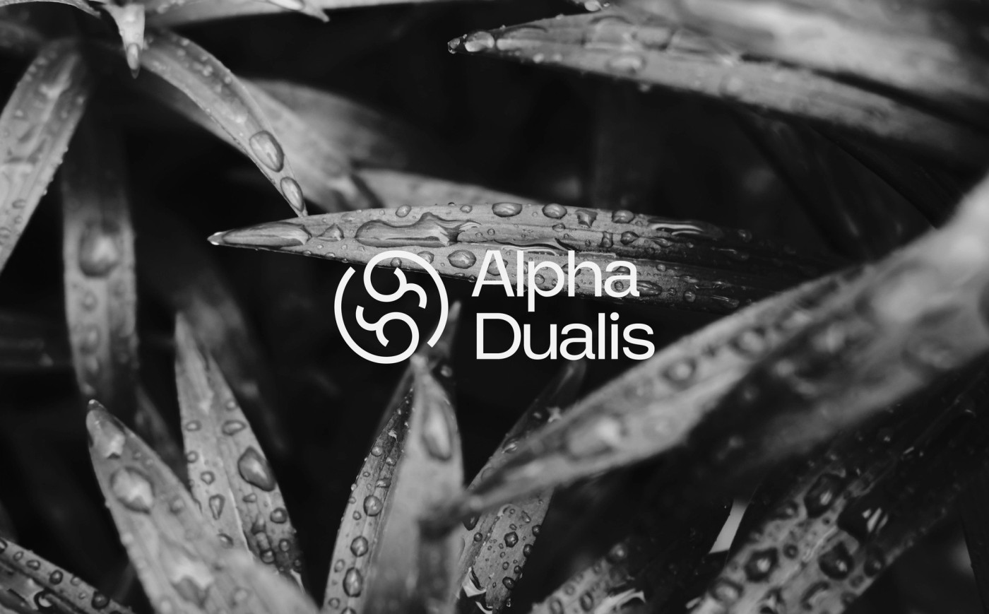 Branding Alpha Dualis health complex for men