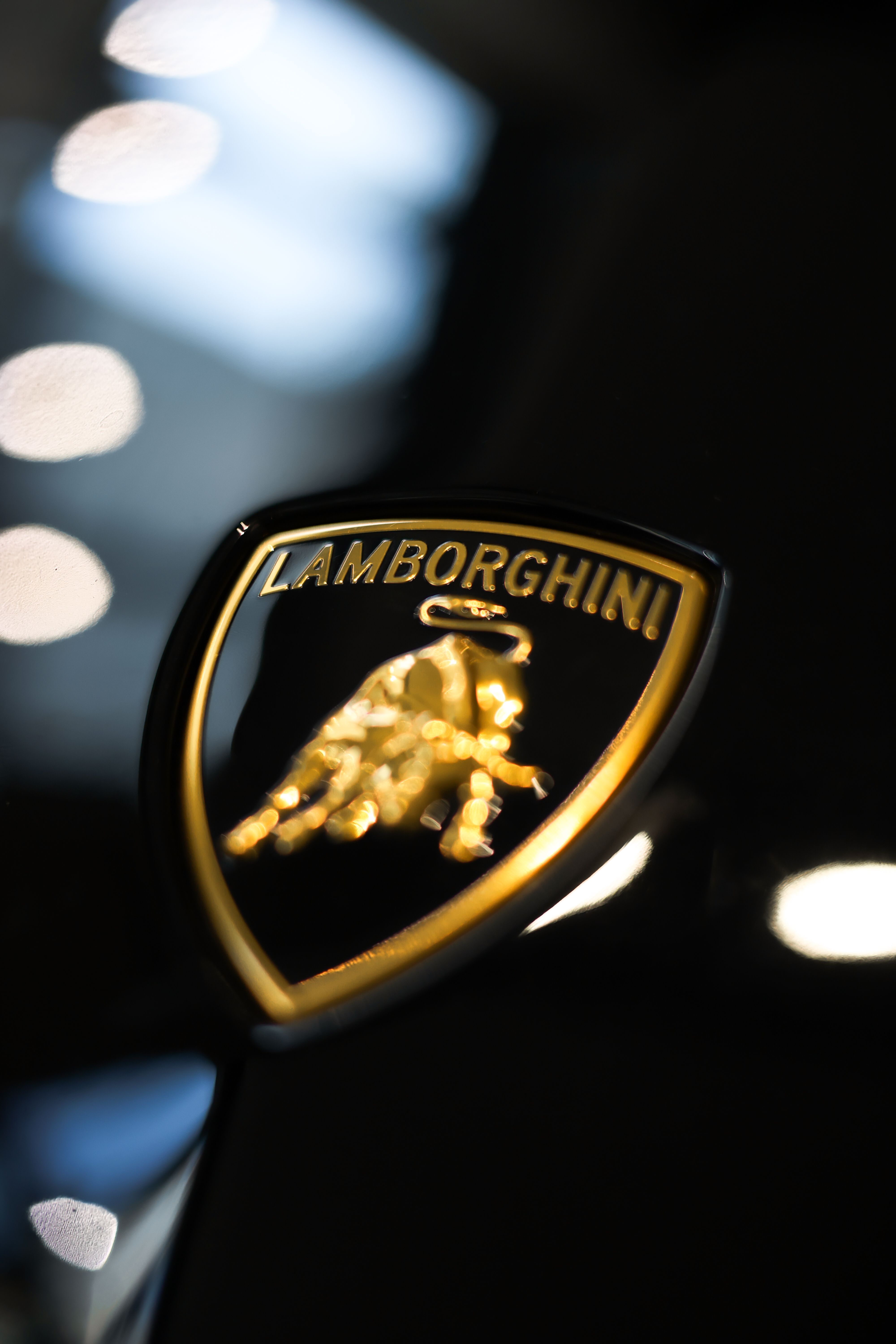 Lamborghini Ruvelto Emblem 