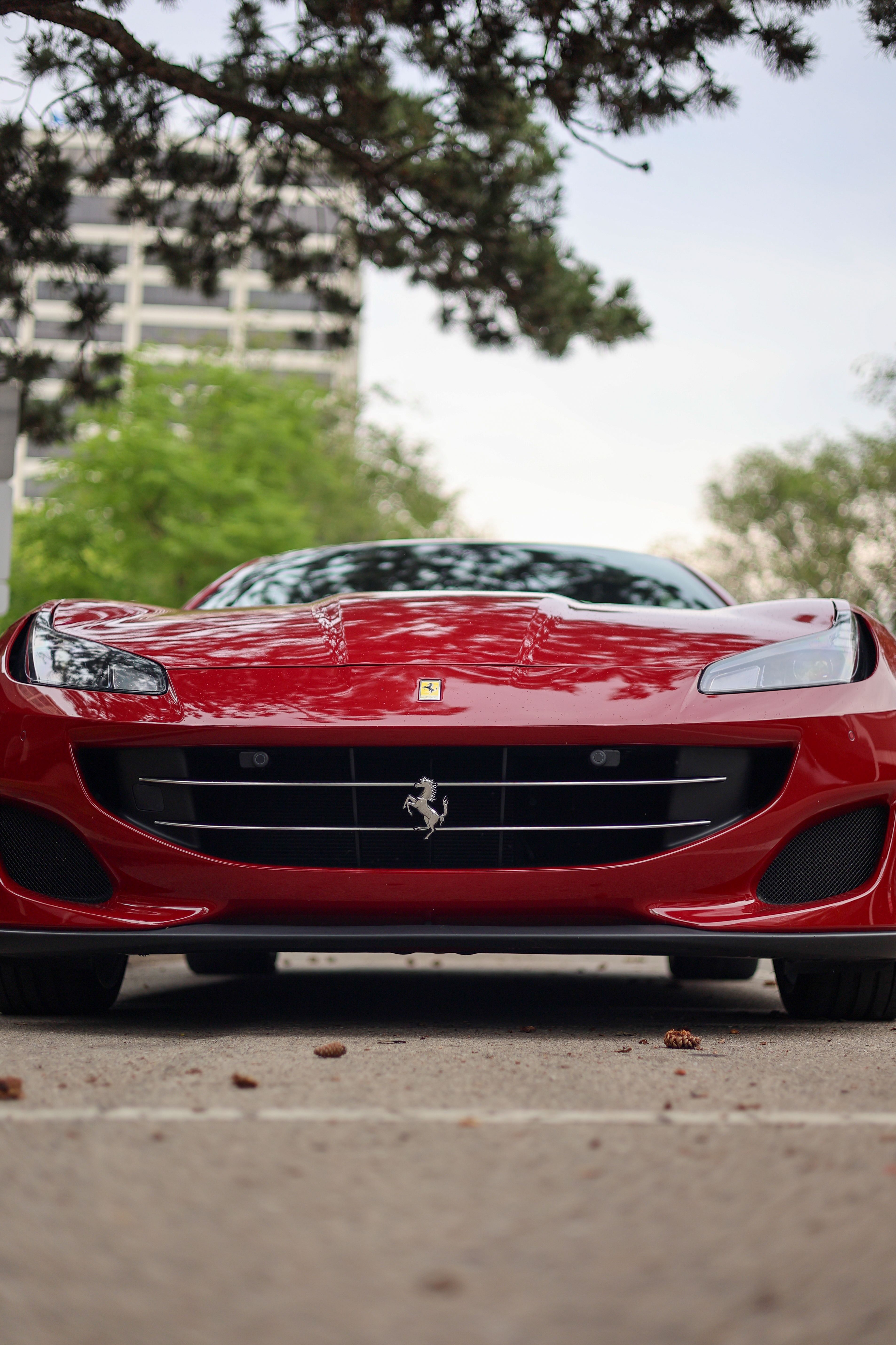 Ferrari Portofino Front View