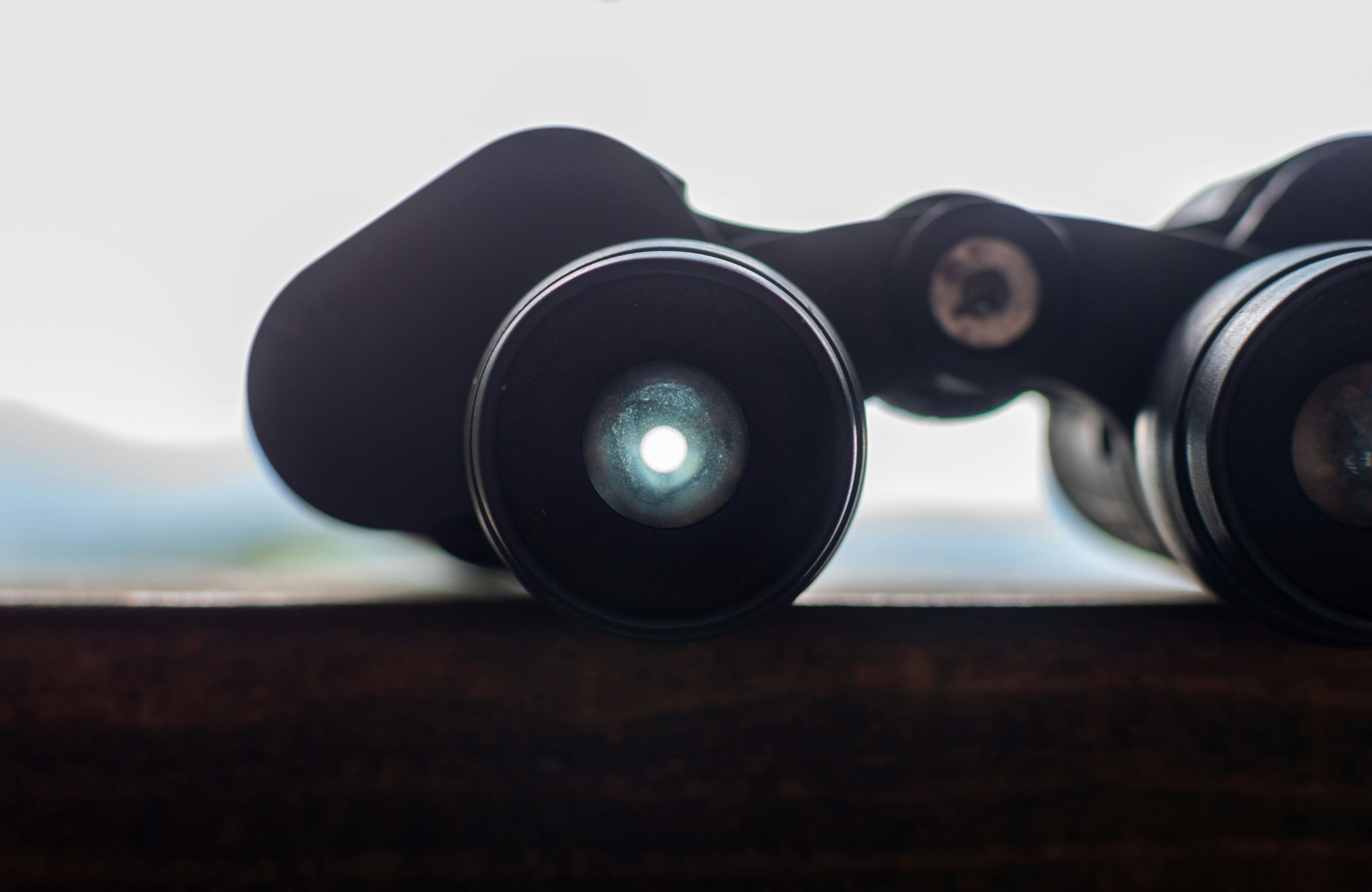 data strategy binoculars