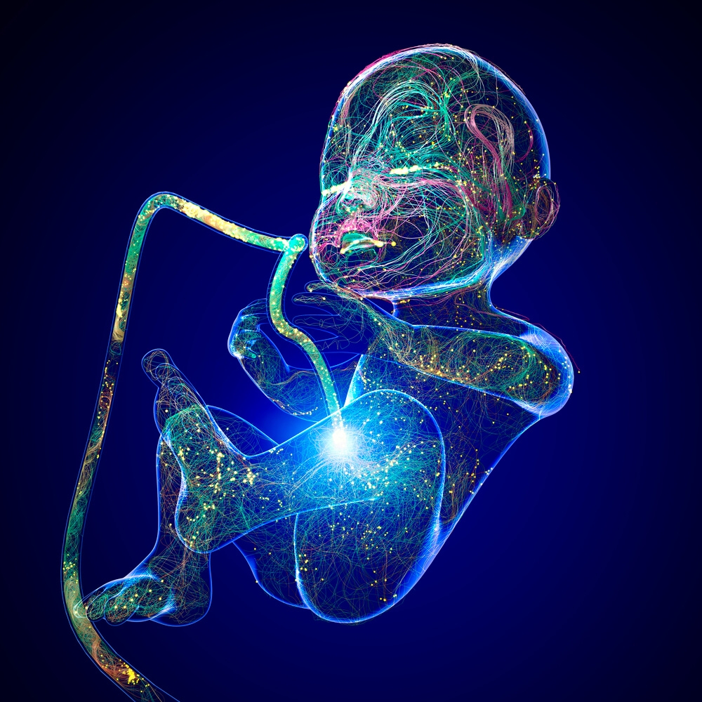 Premature Umbilical Cord Clamping: Cutting the Cord Too Soon