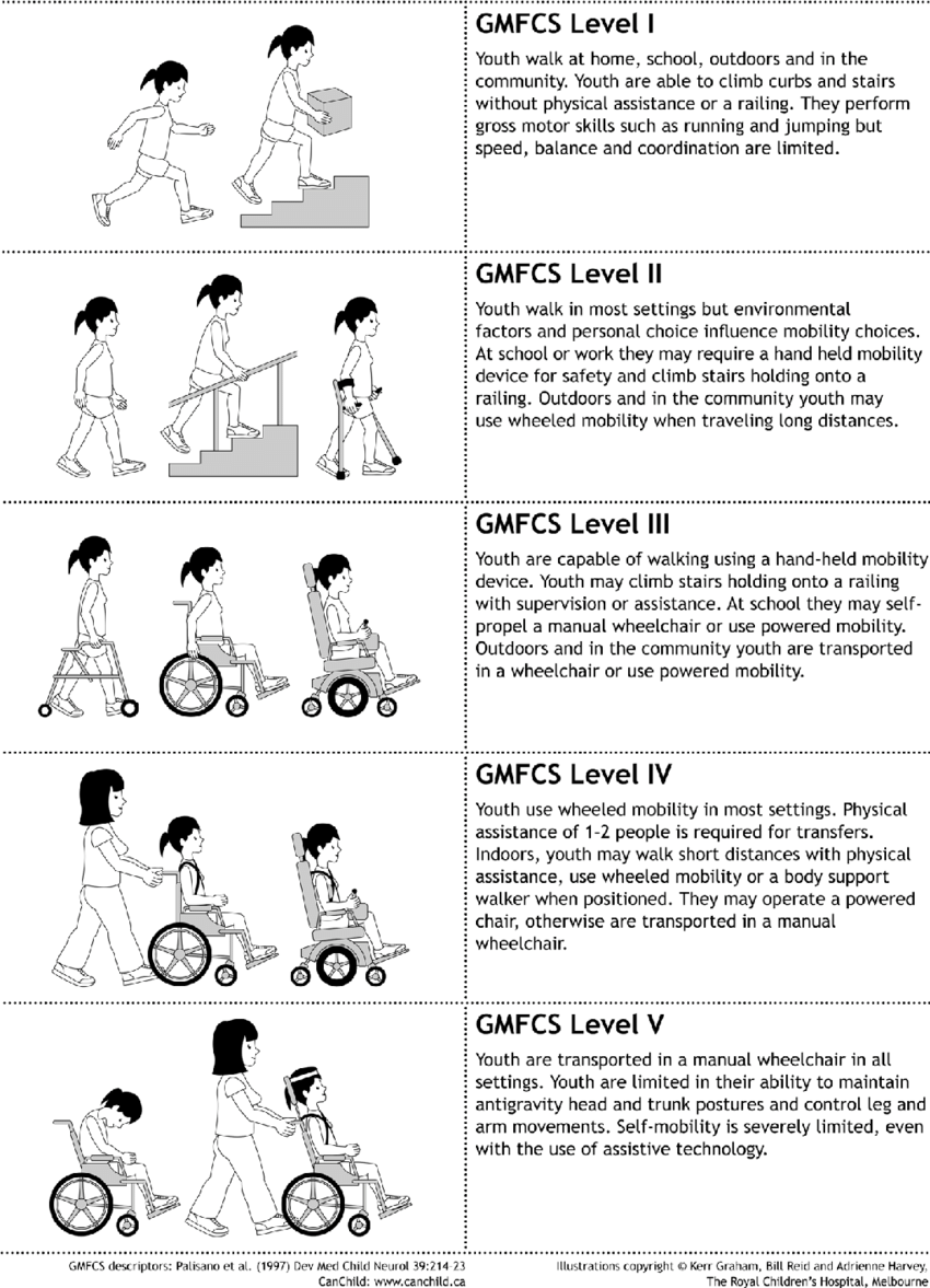 Gross Motor Function Classification System for Cerebral Palsy