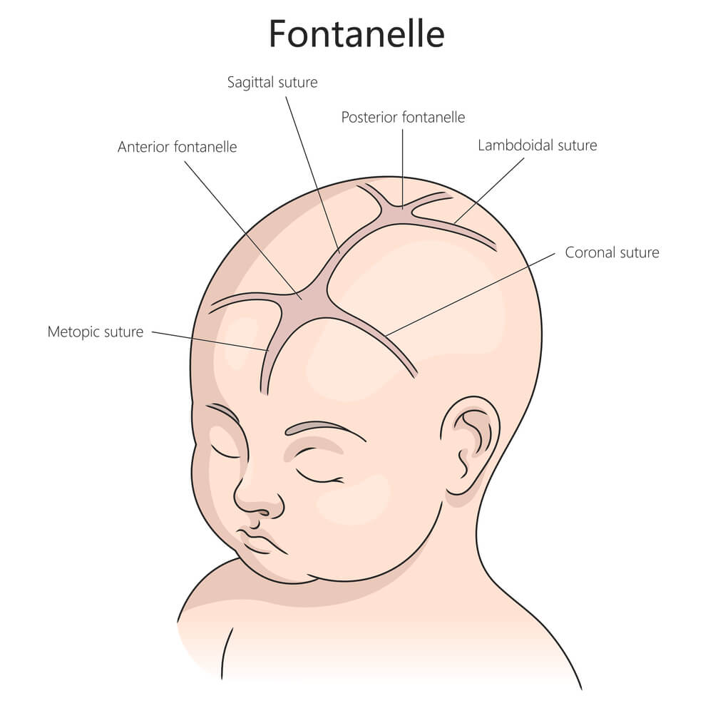 Warning Signs and Implications of a Bulging Fontanelle
