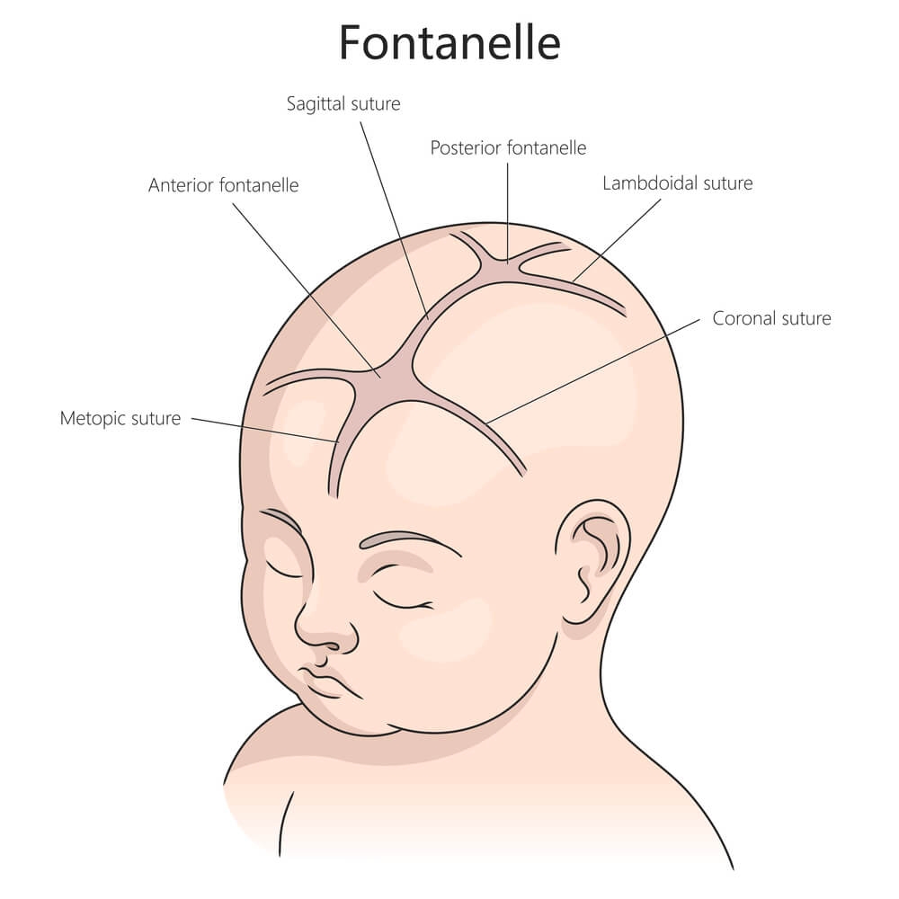 Warning Signs and Implications of a Bulging Fontanelle