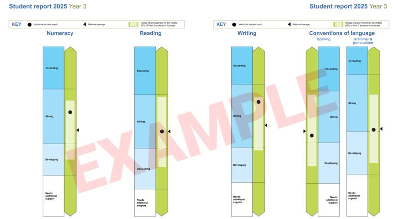 sample naplan report for a year 3 student
