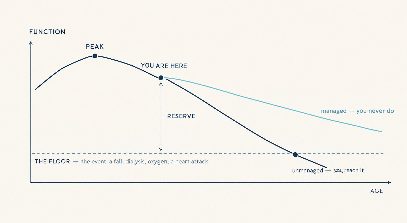 Chart showing how organ function peaks then declines with age, with managed vs unmanaged trajectories