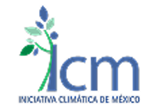 ICM