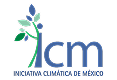 ICM