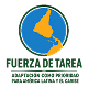 Fuerza de Tarea