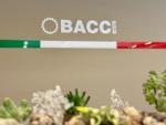 BACCI Paolino Srl
