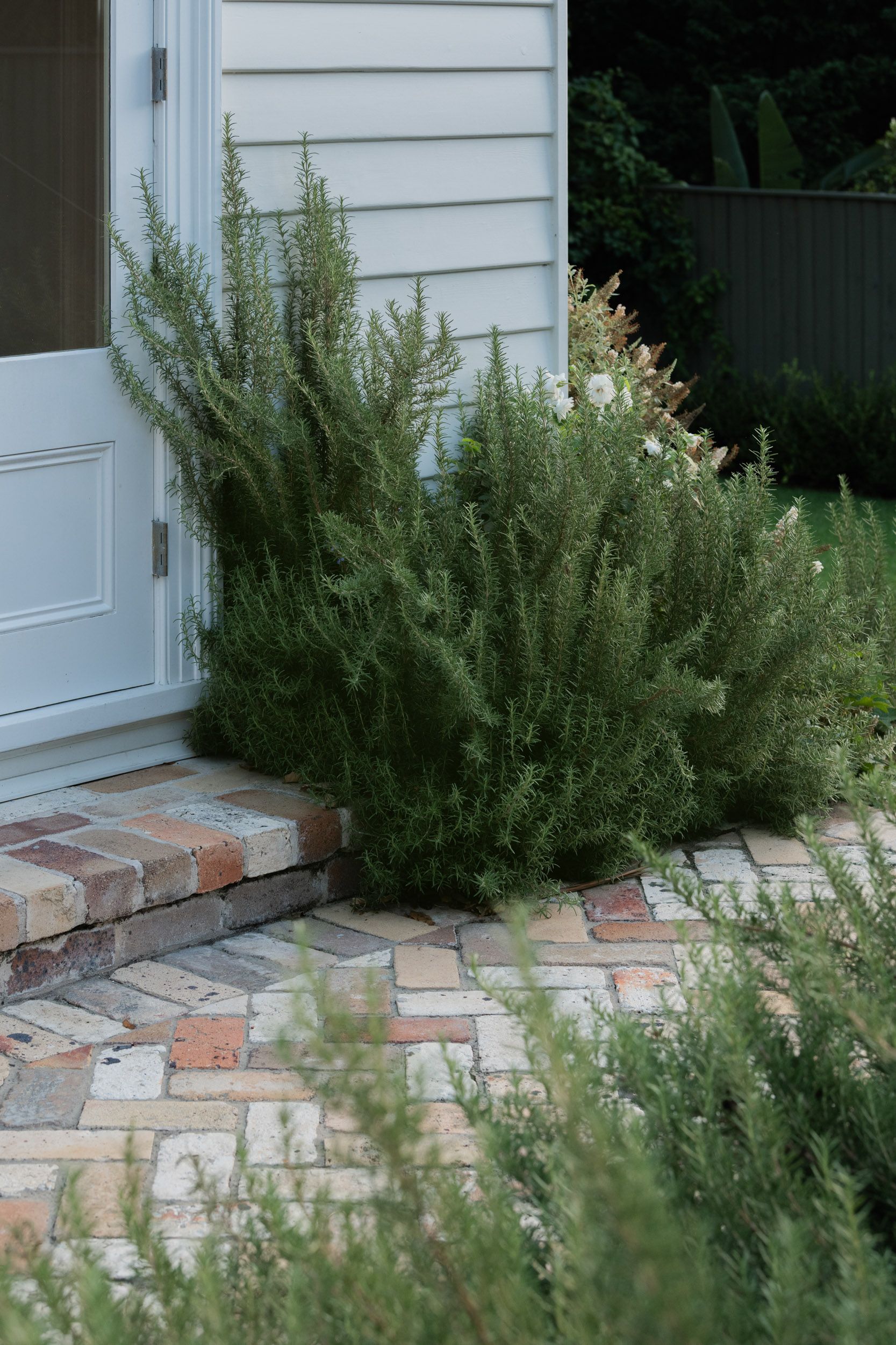 recycled brick and rosemary in a courtyard
