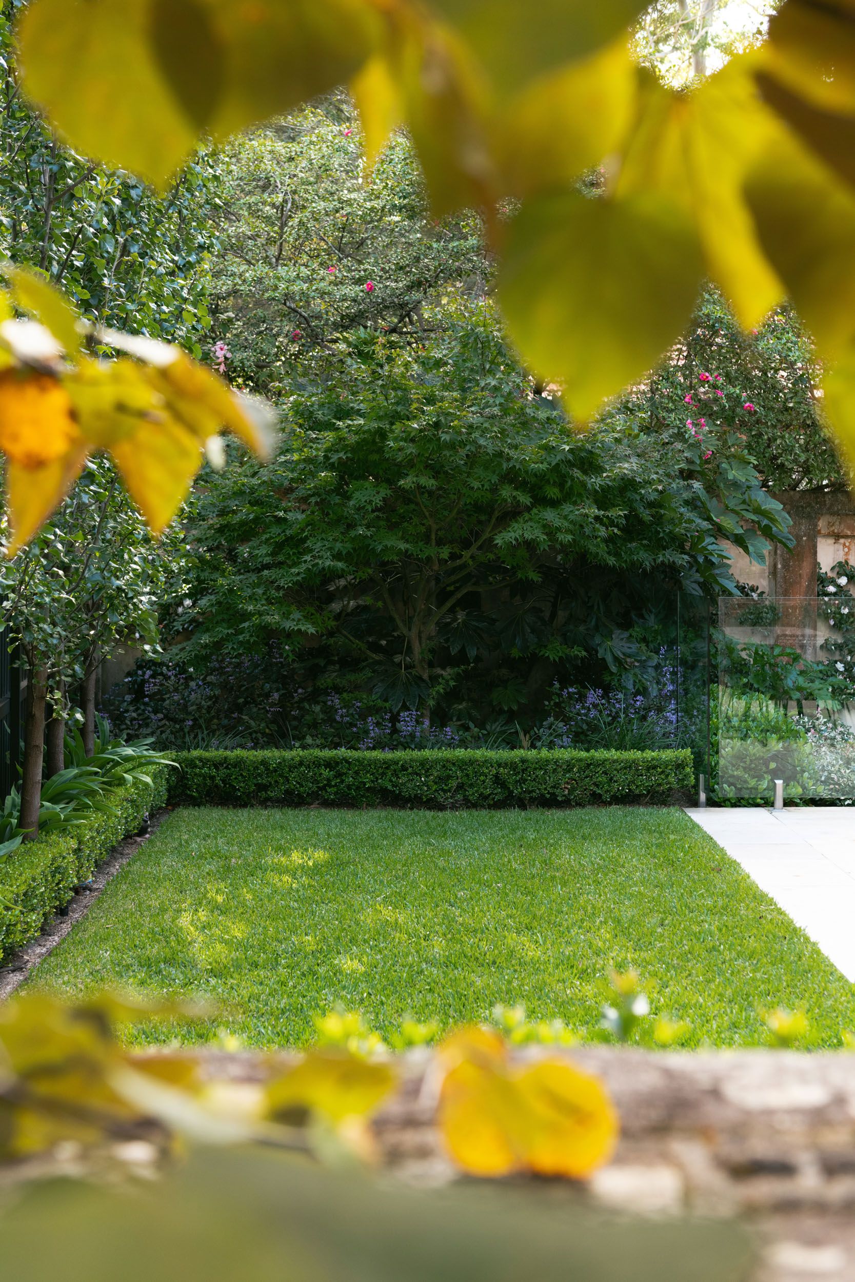 grass and hedging