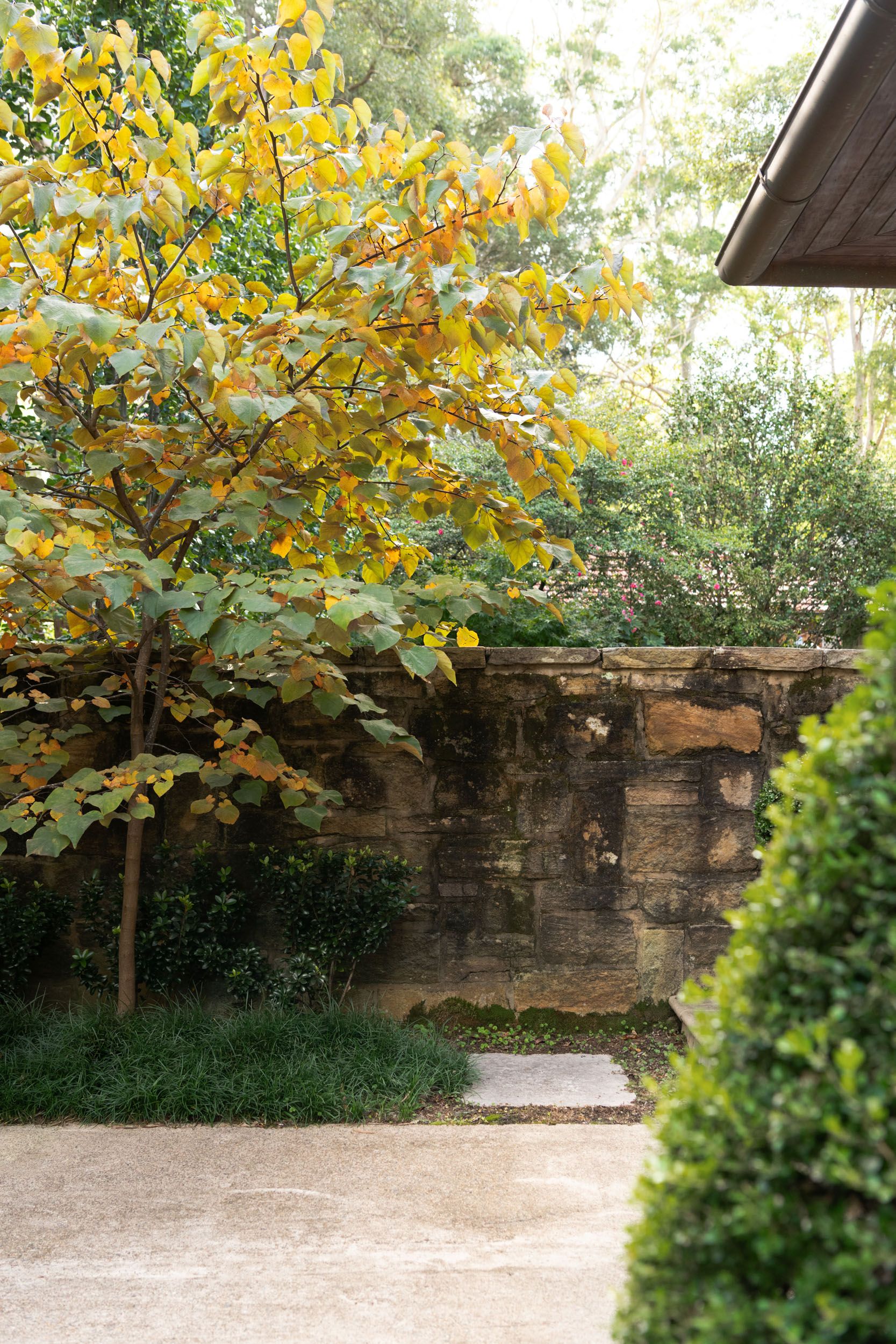 autumn colours yellow stone wall