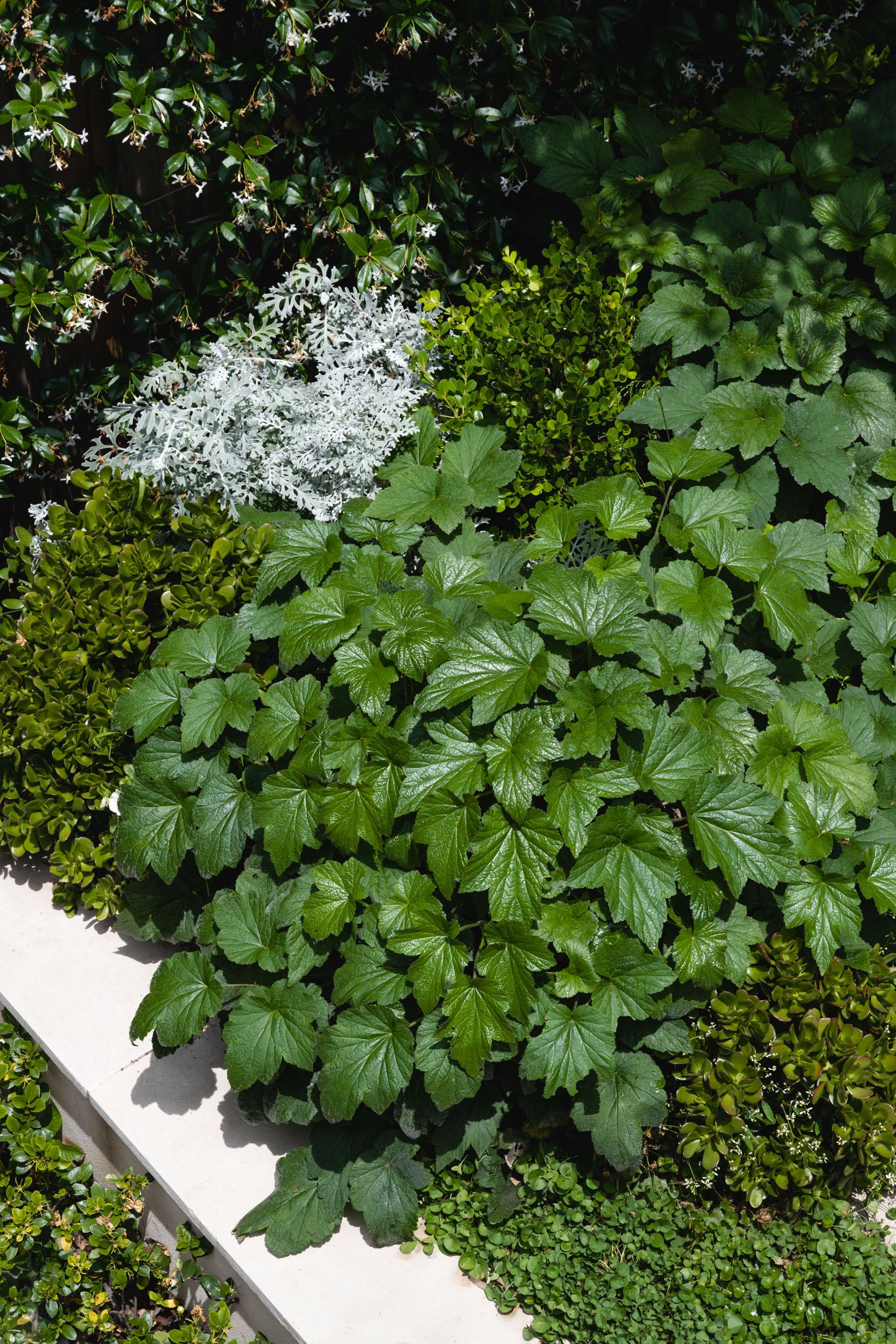 Garden layers + texture