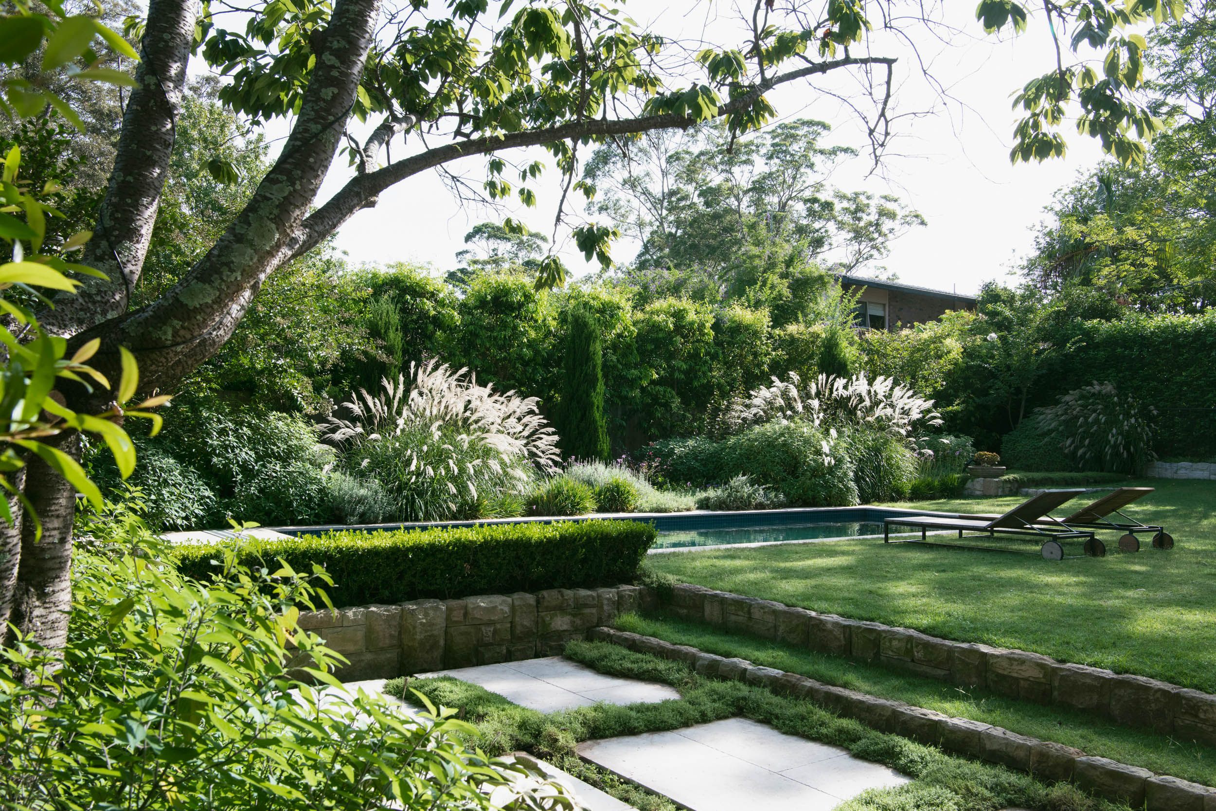 backlit garden with pool