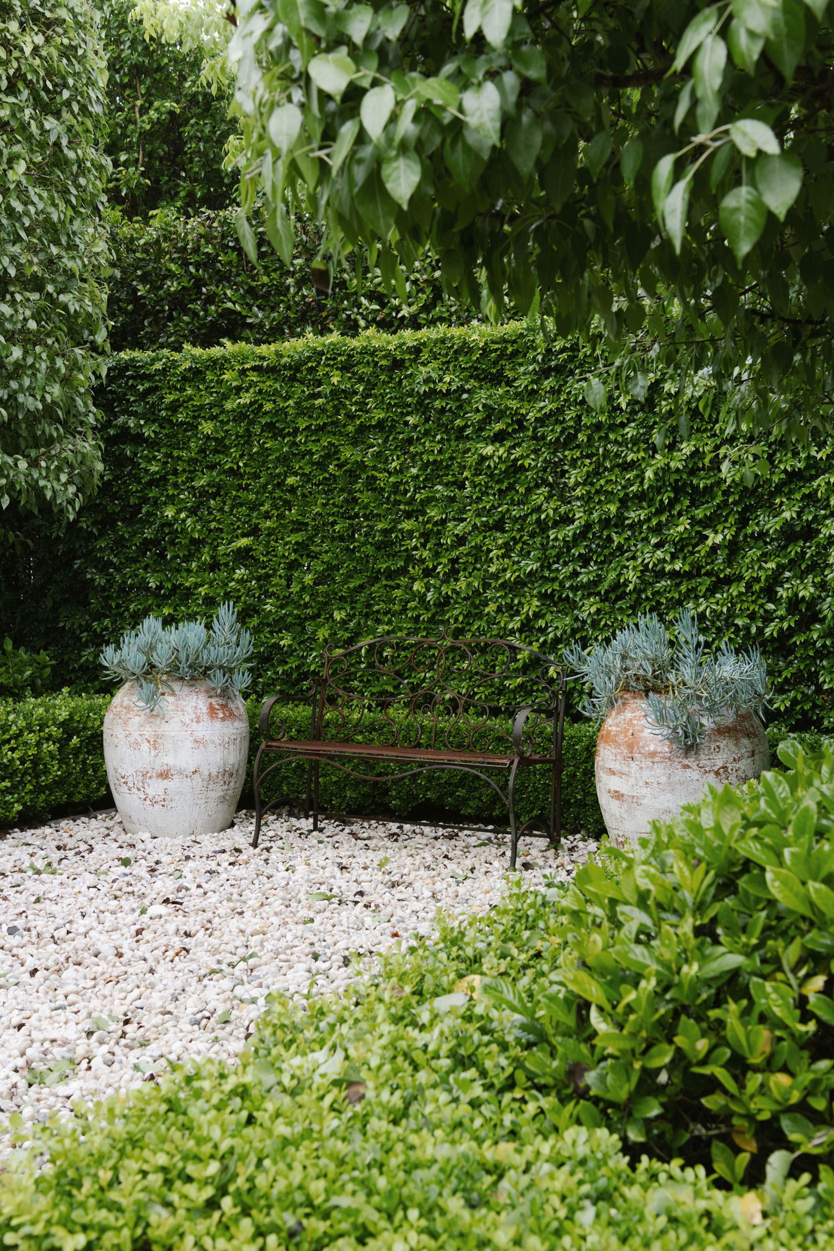 Hedge and stone garden