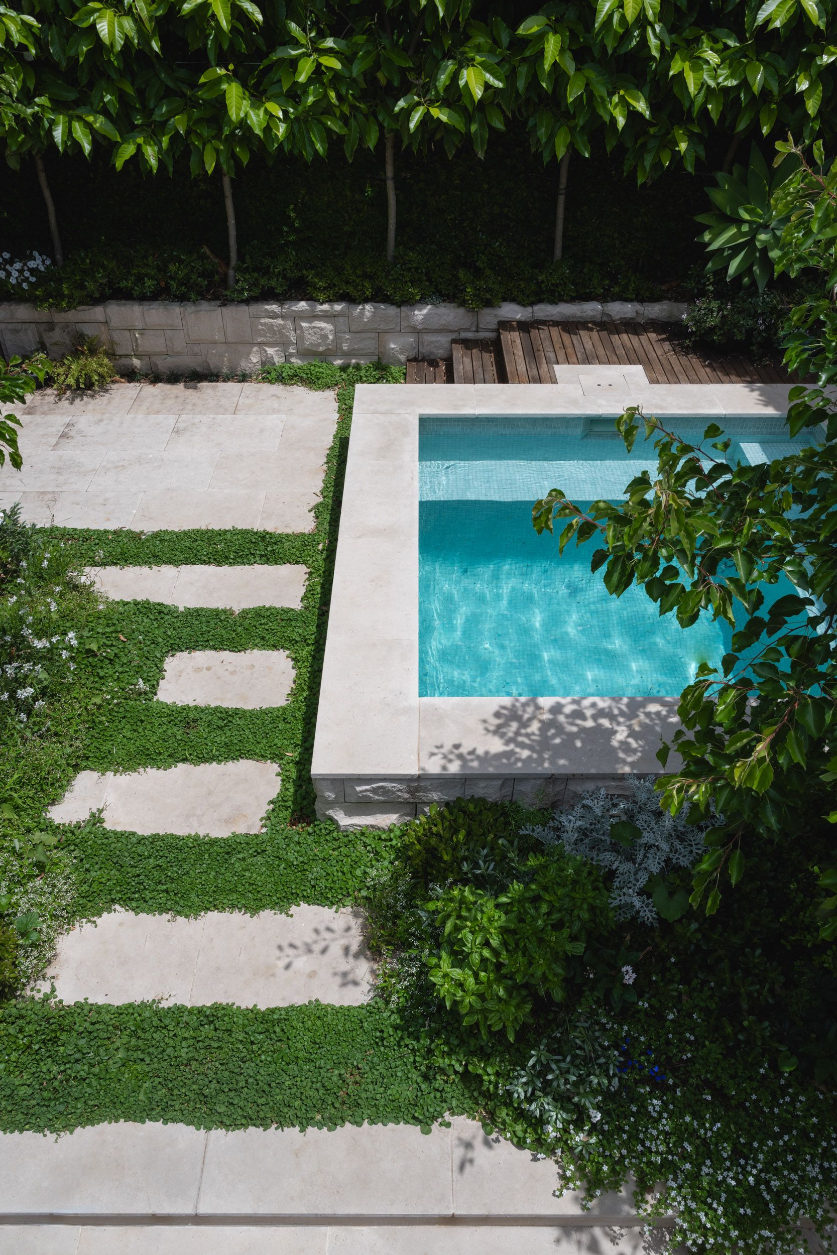 intimate courtyard garden