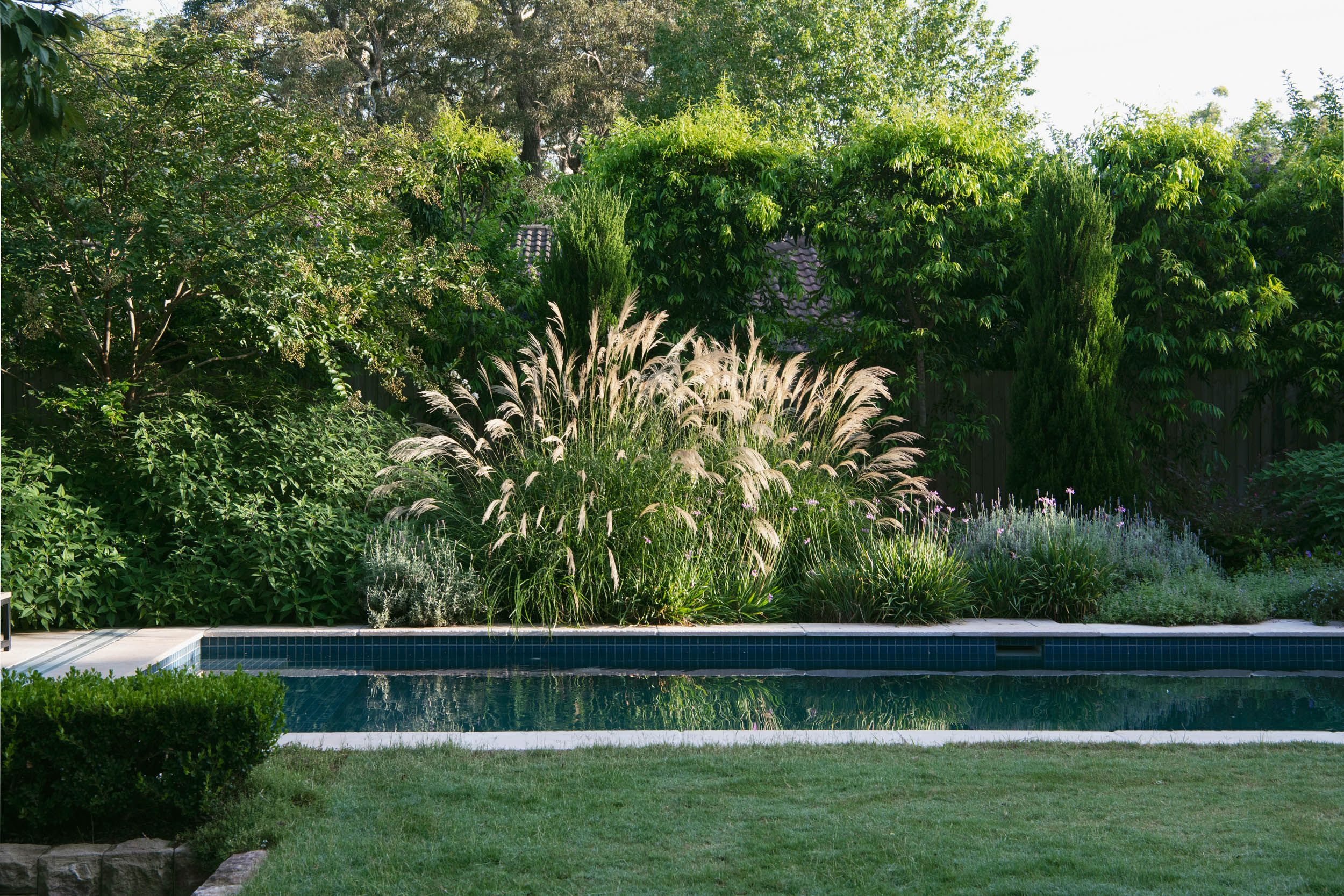 pool and garden