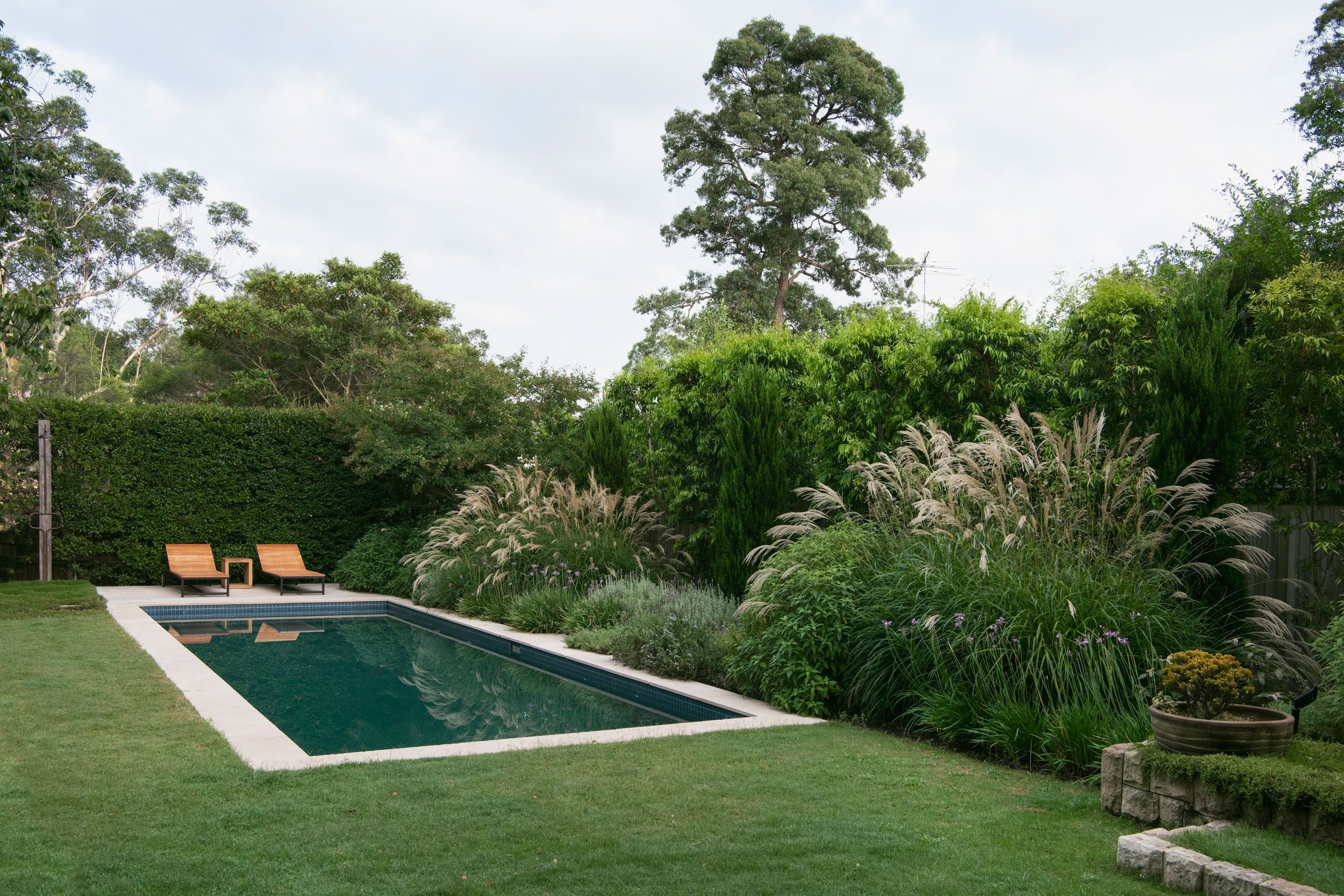 pool + garden