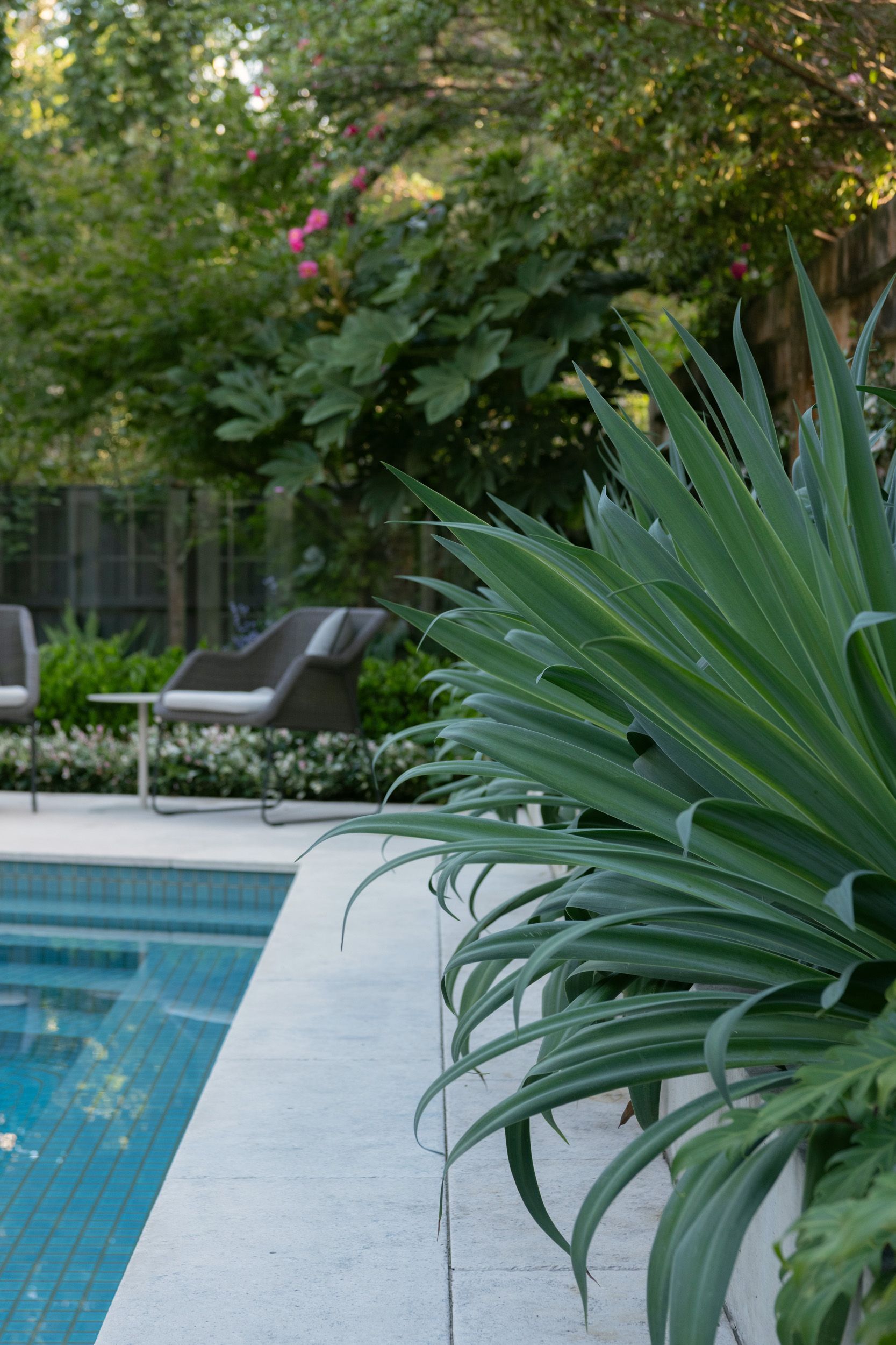 pooll + garden small area challenging site