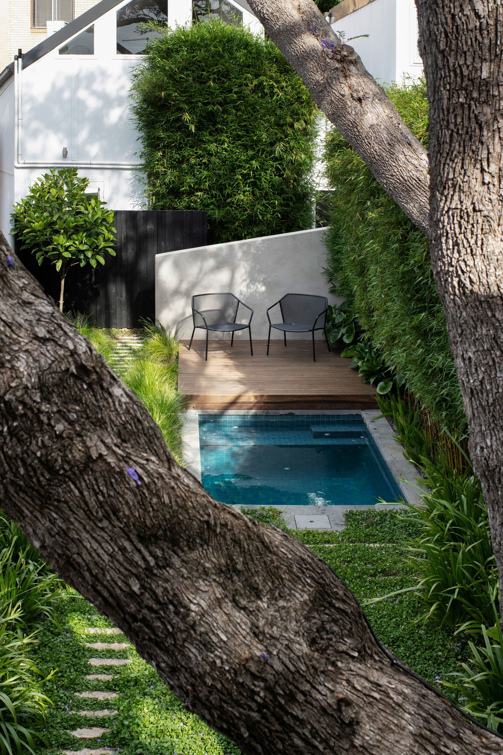 Pool and timber deck