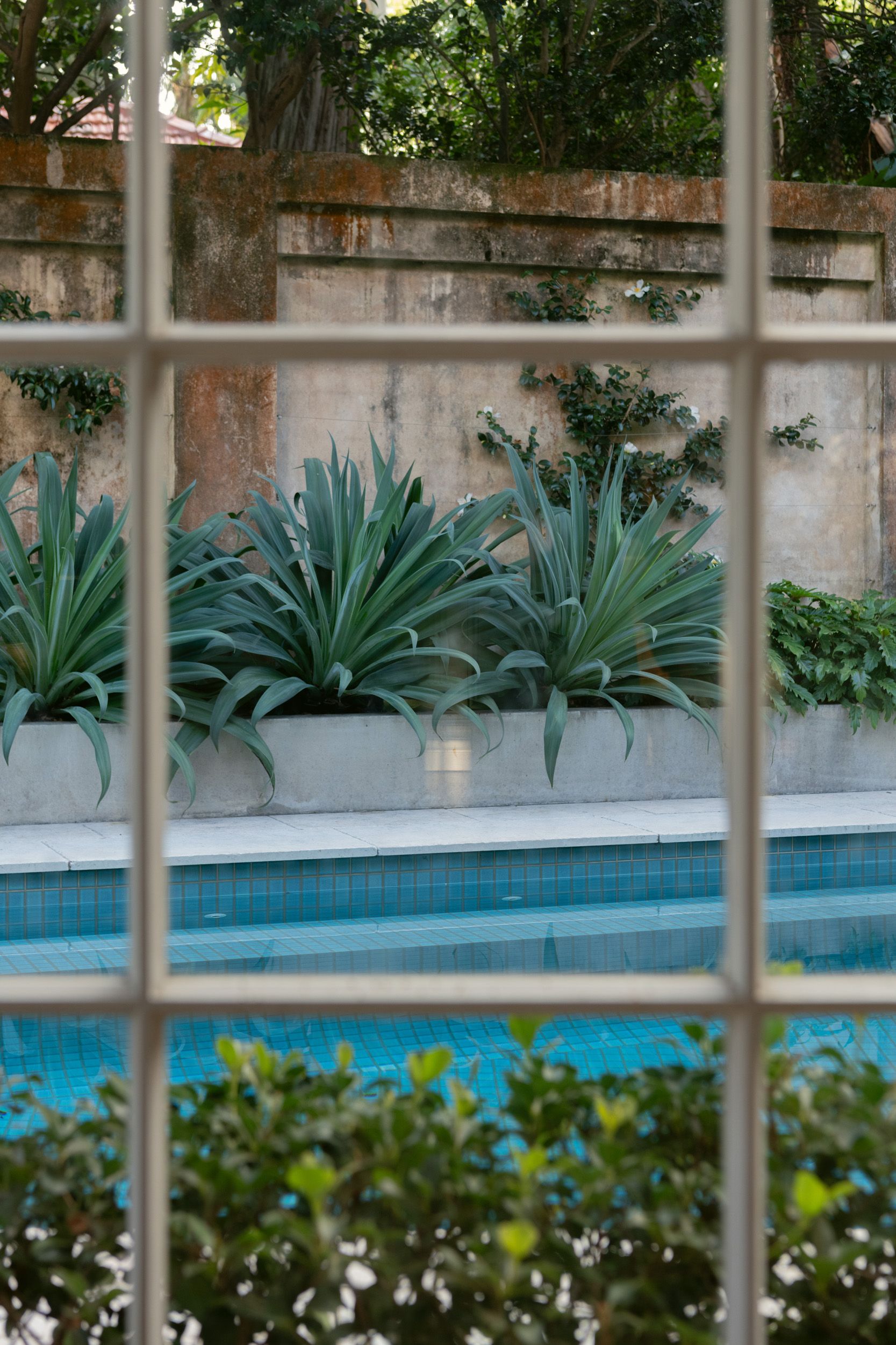 pool and garden small intimate courtyard