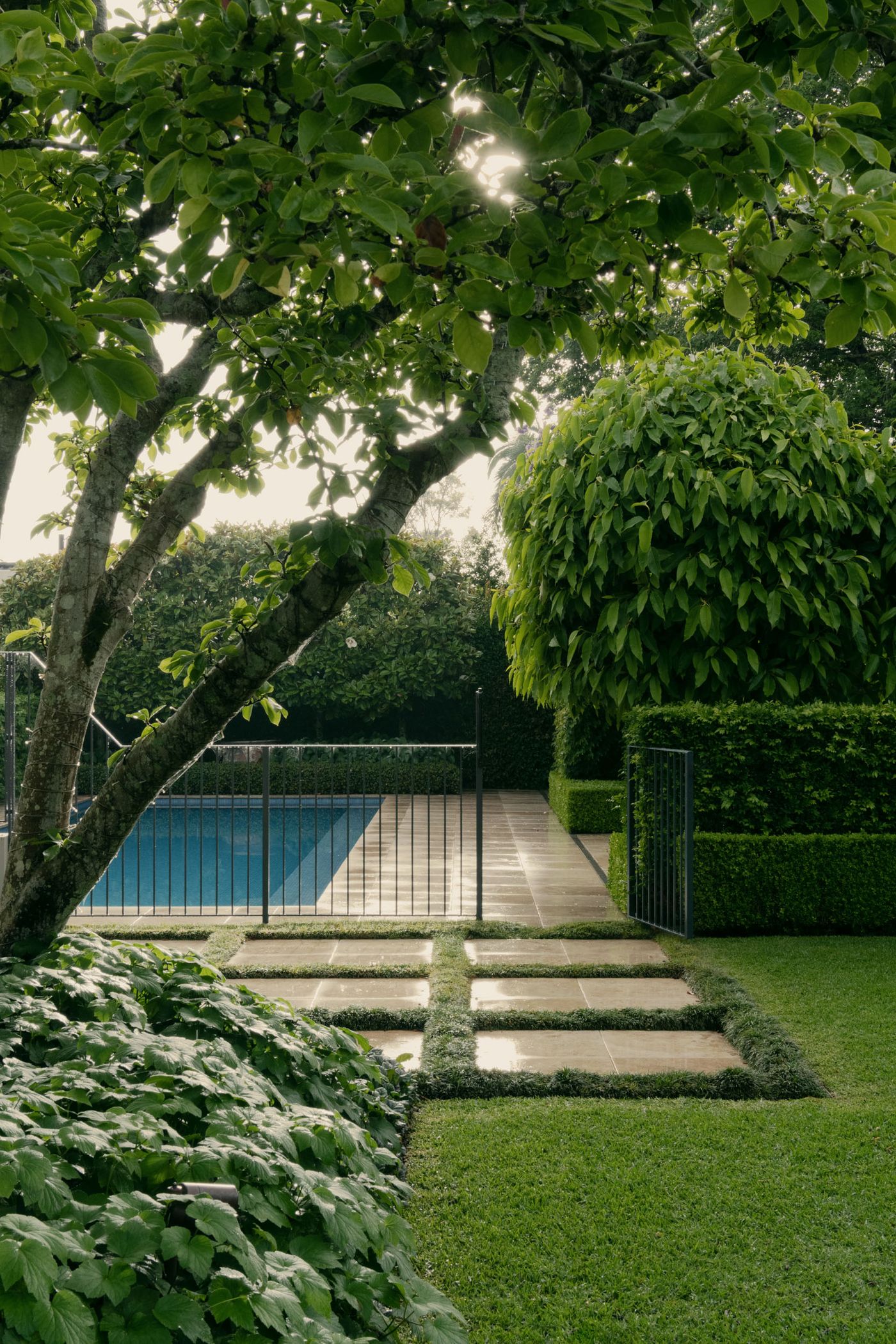 pool + garden after rain