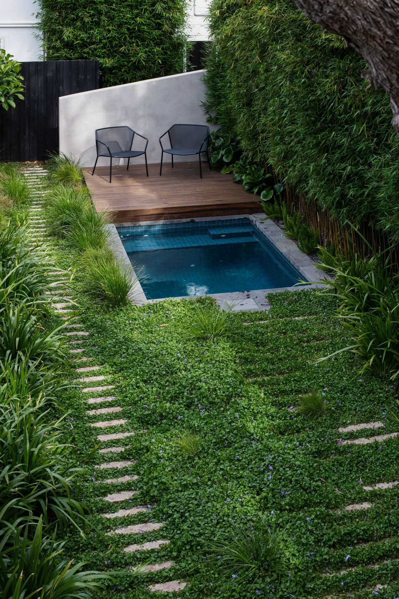 Pool trees Annandale
