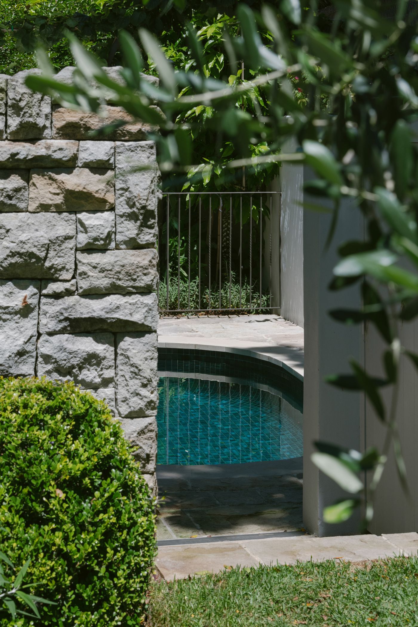 olive branch with pool