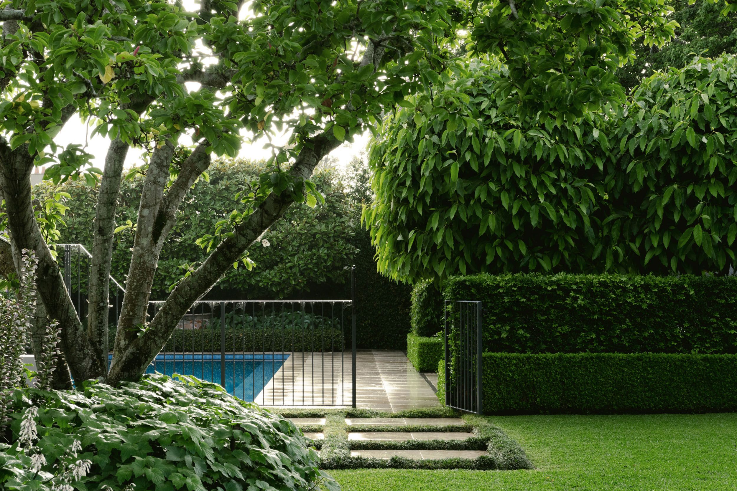 pool and garden
