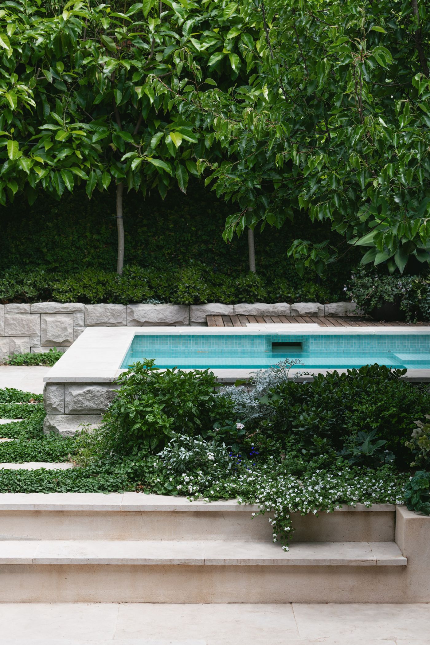 plunge pool and garden
