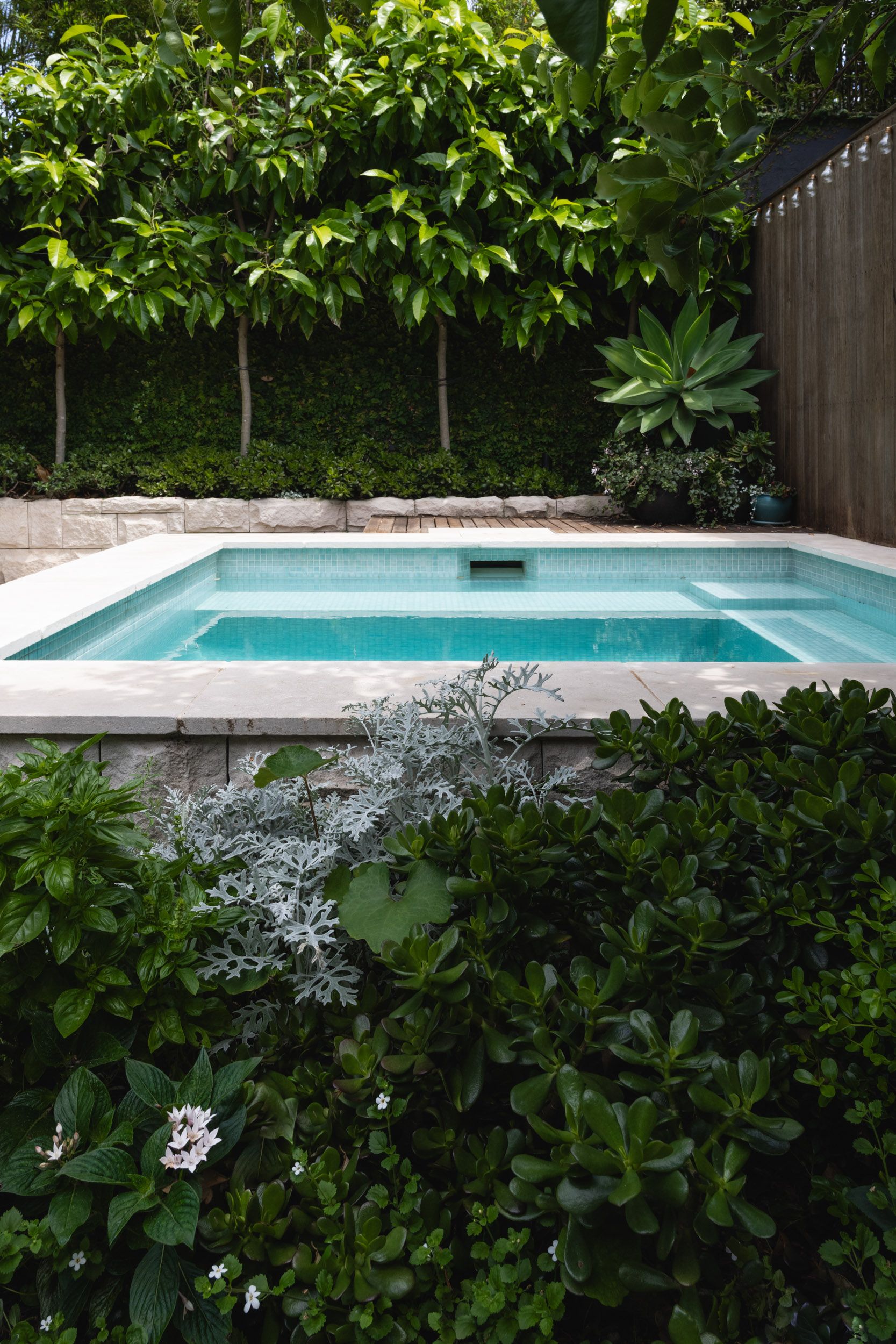 small plunge pool