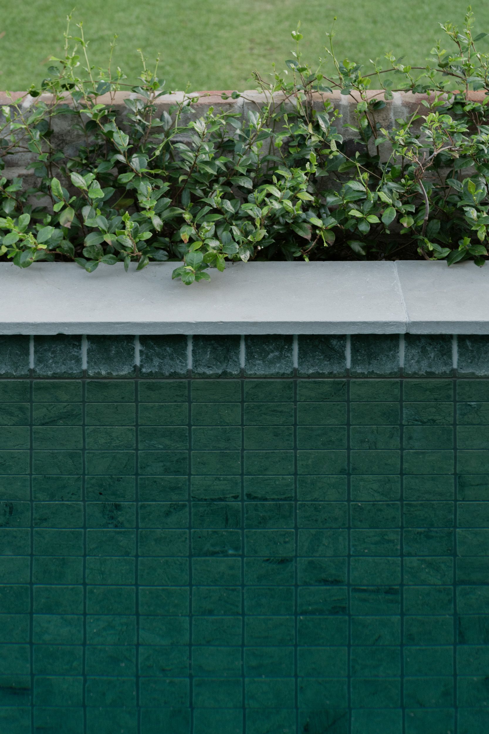 pool tiles + ground cover