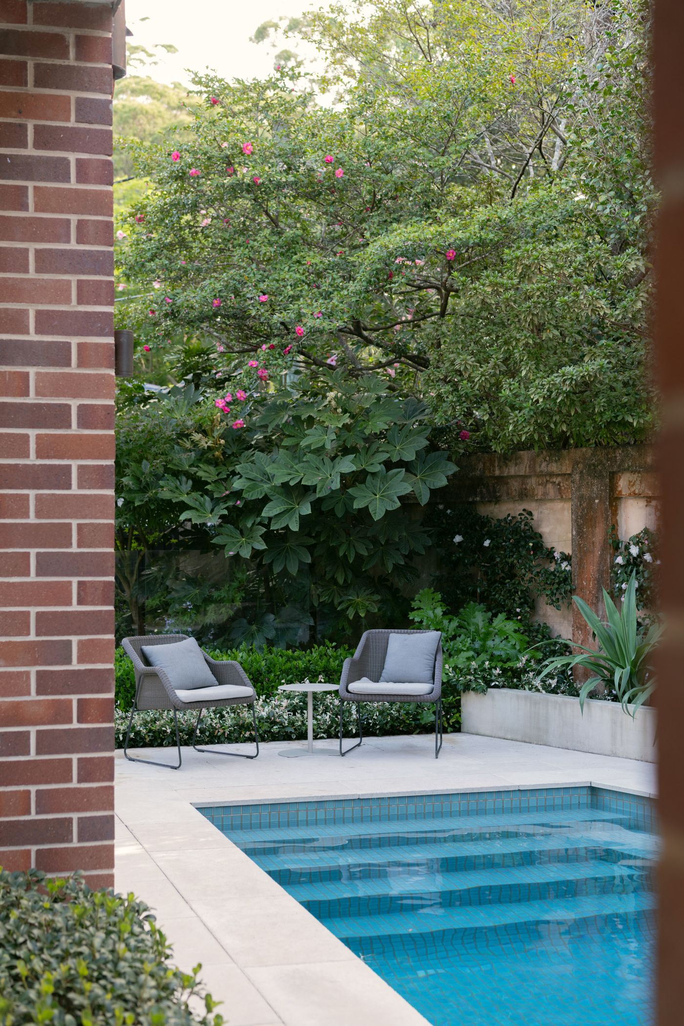 Pool + Garden