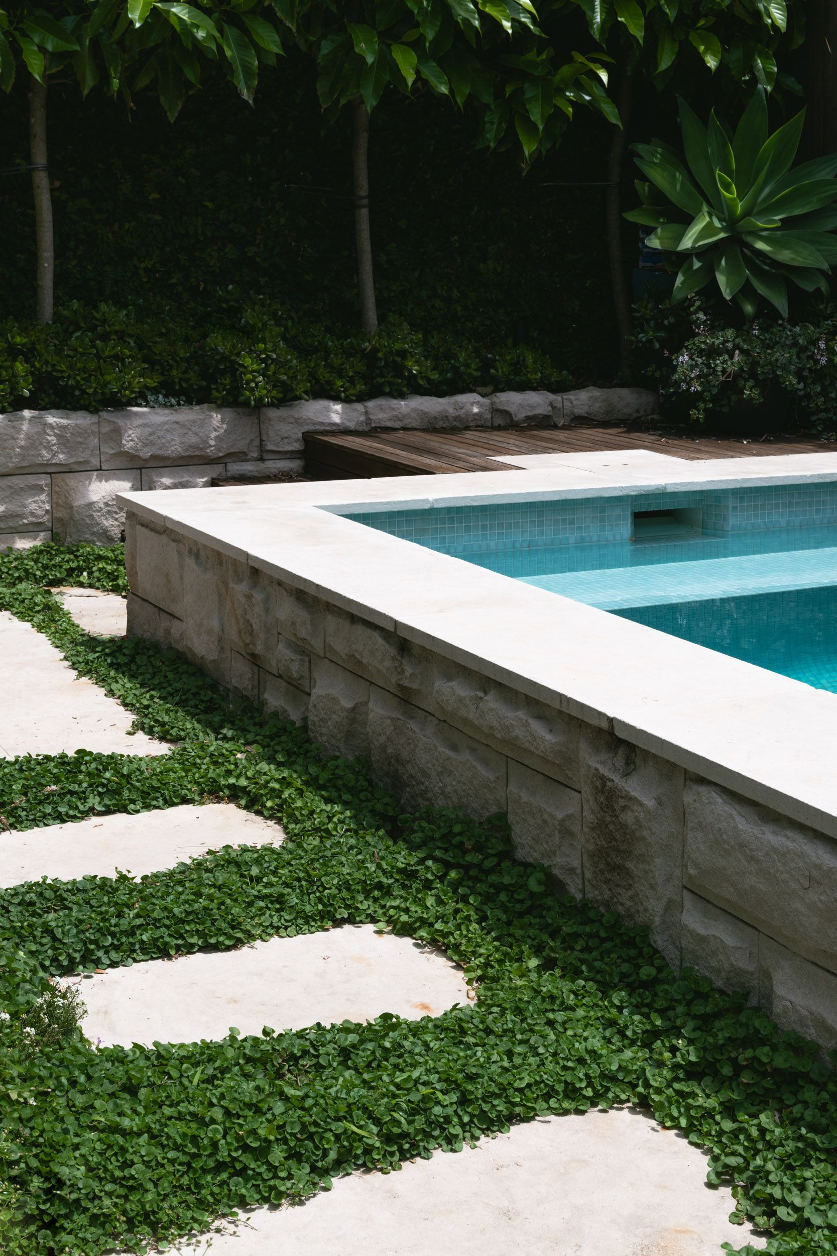plunge pool and stone pavers