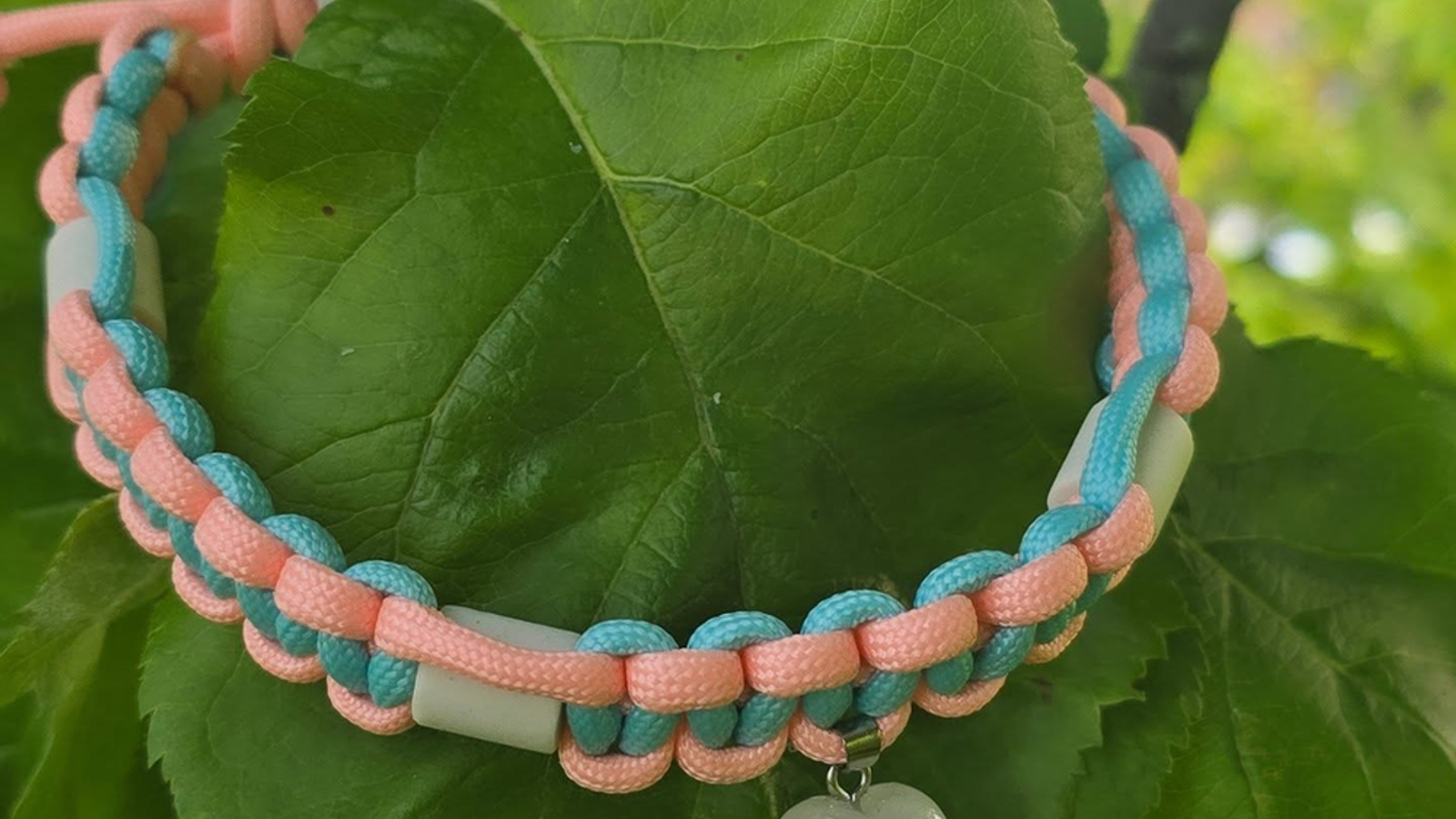 EM-Keramik Zeckenhalsband – natürlicher Schutz mit Stil