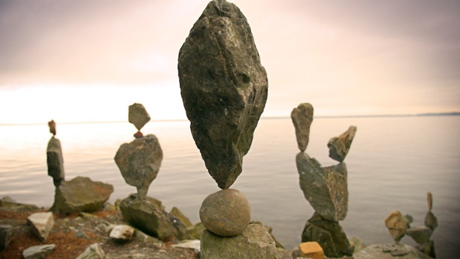Zwischen Kuschelmodus und Überlebensstrategie