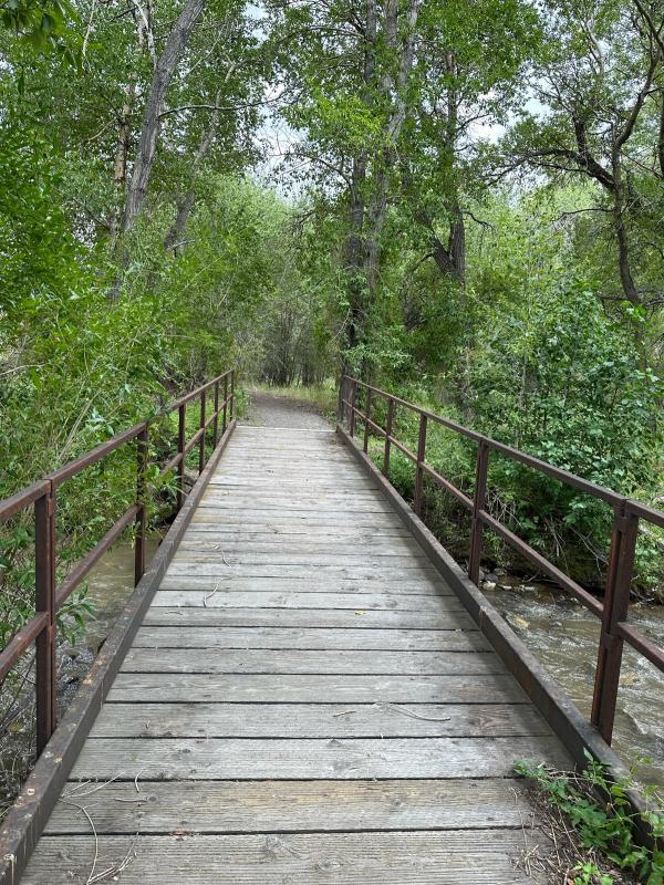 Nature trail bridge