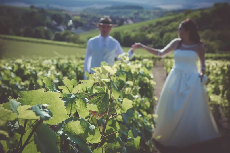 Irancy vineyard