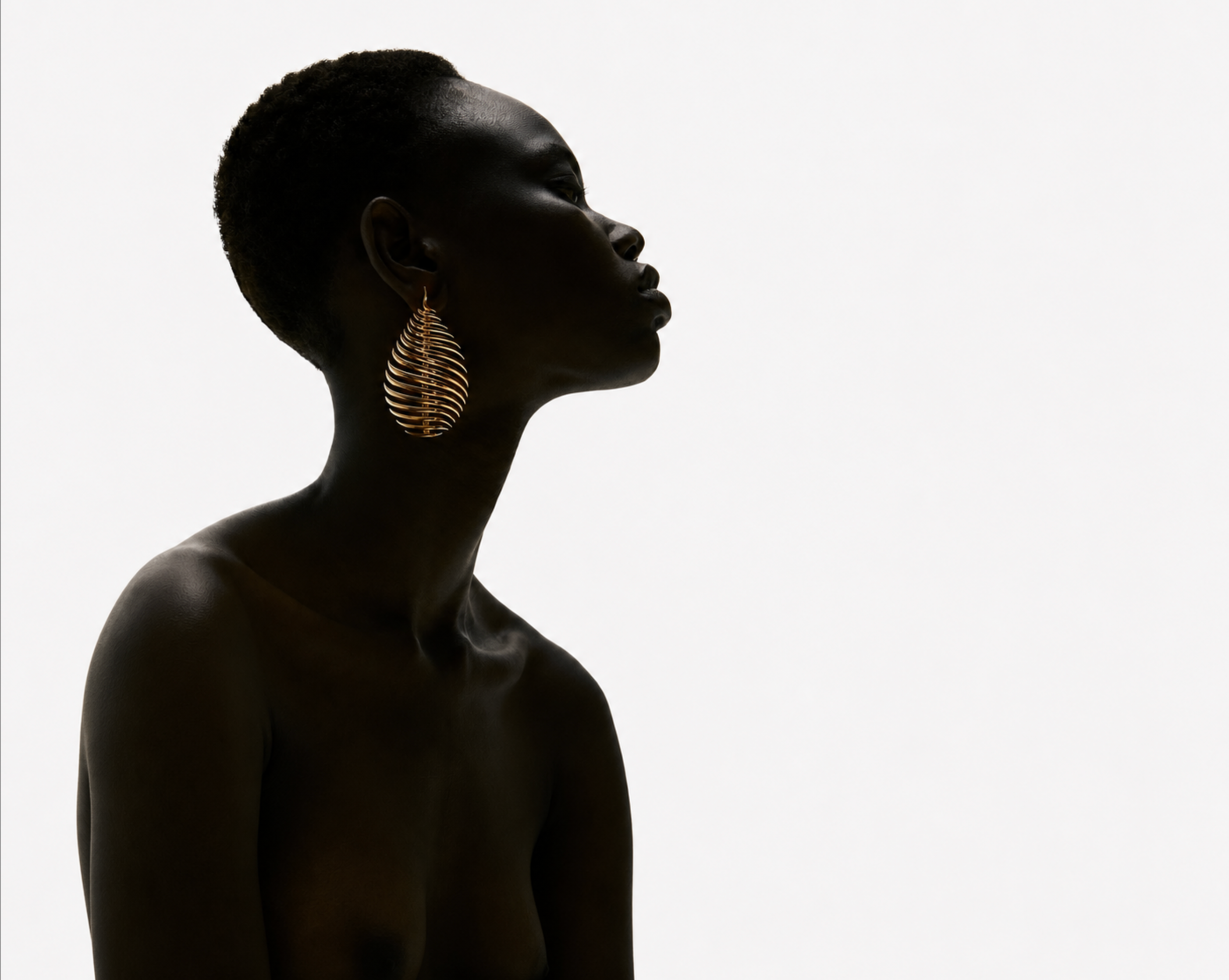 THE FREEMAN JOURNAL- ART OF ADORNMENT