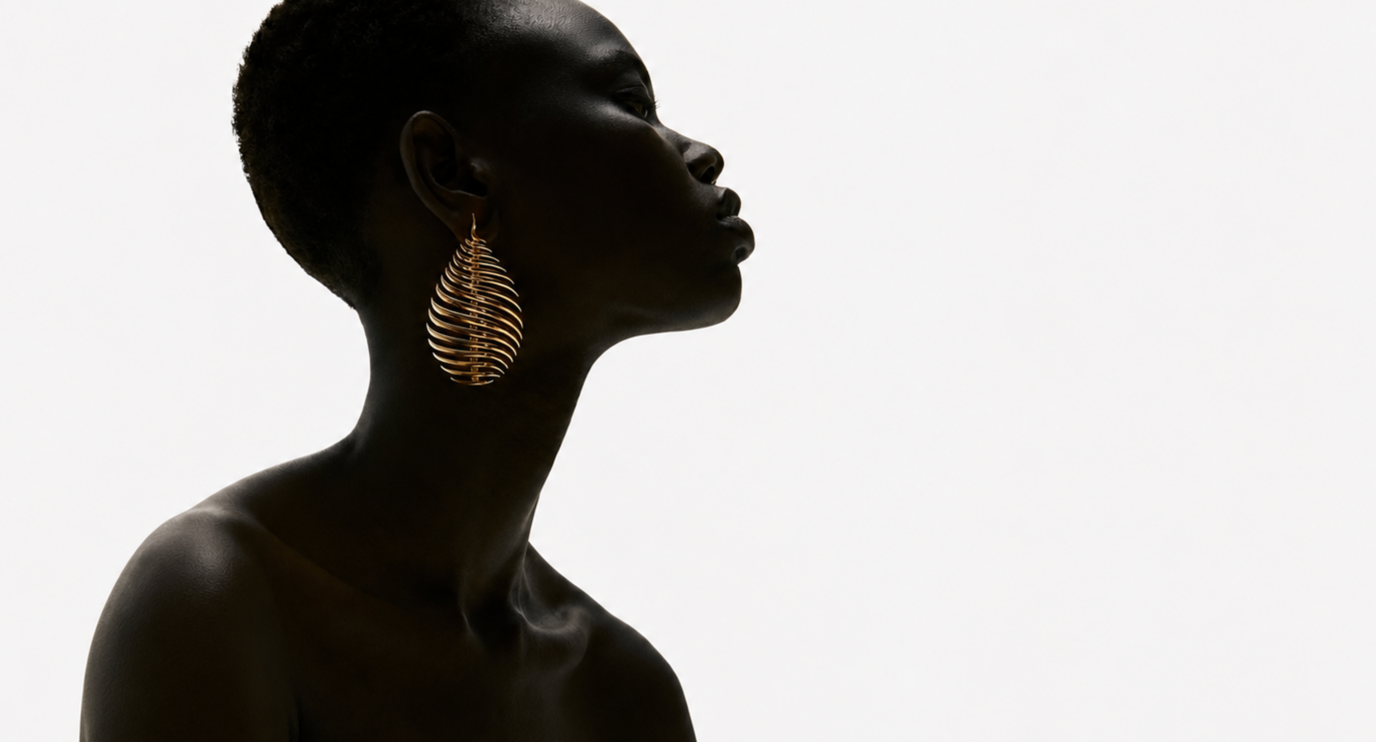 THE FREEMAN JOURNAL- ART OF ADORNMENT