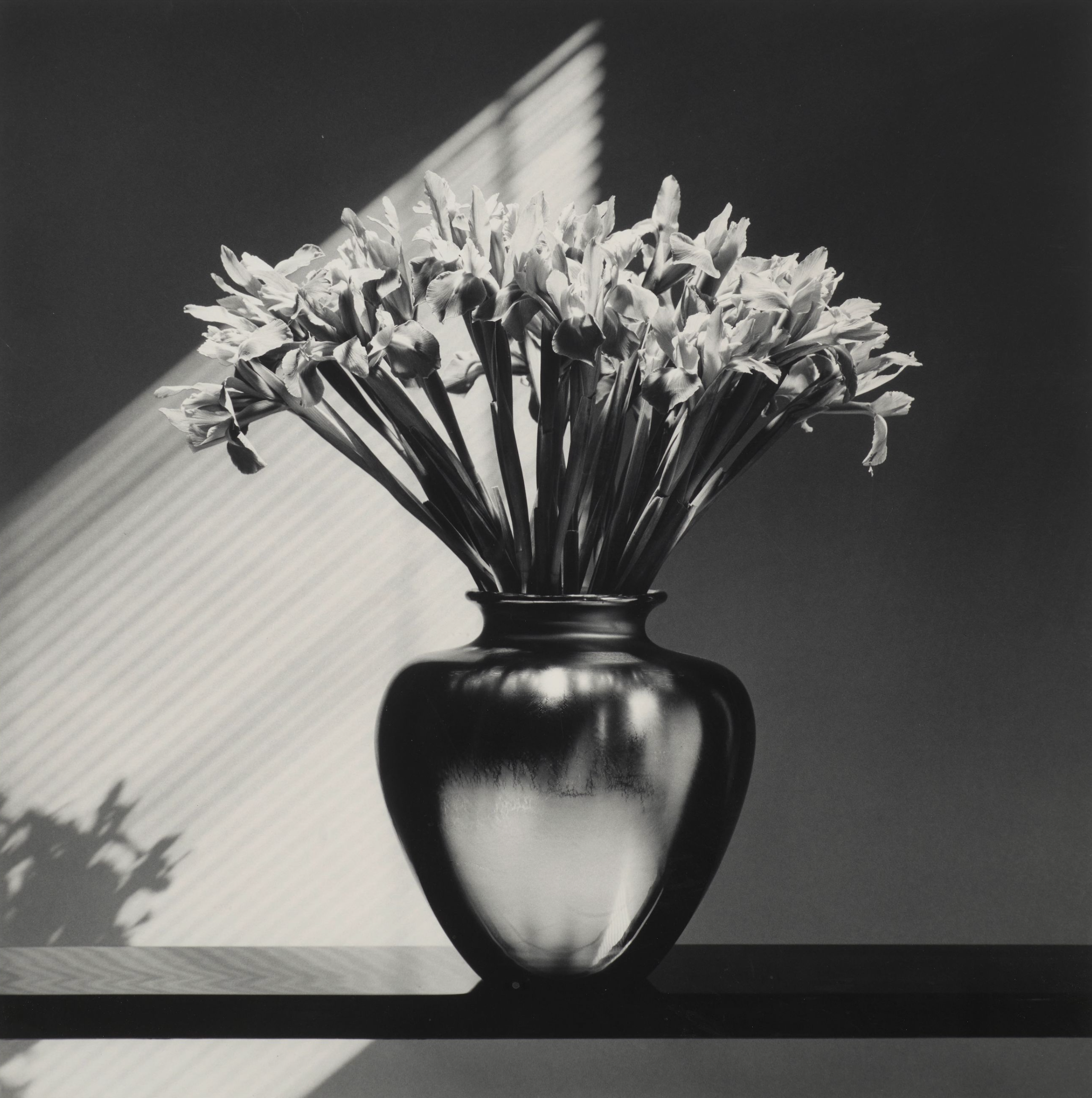 Robert Mapplethorpe - Irises series