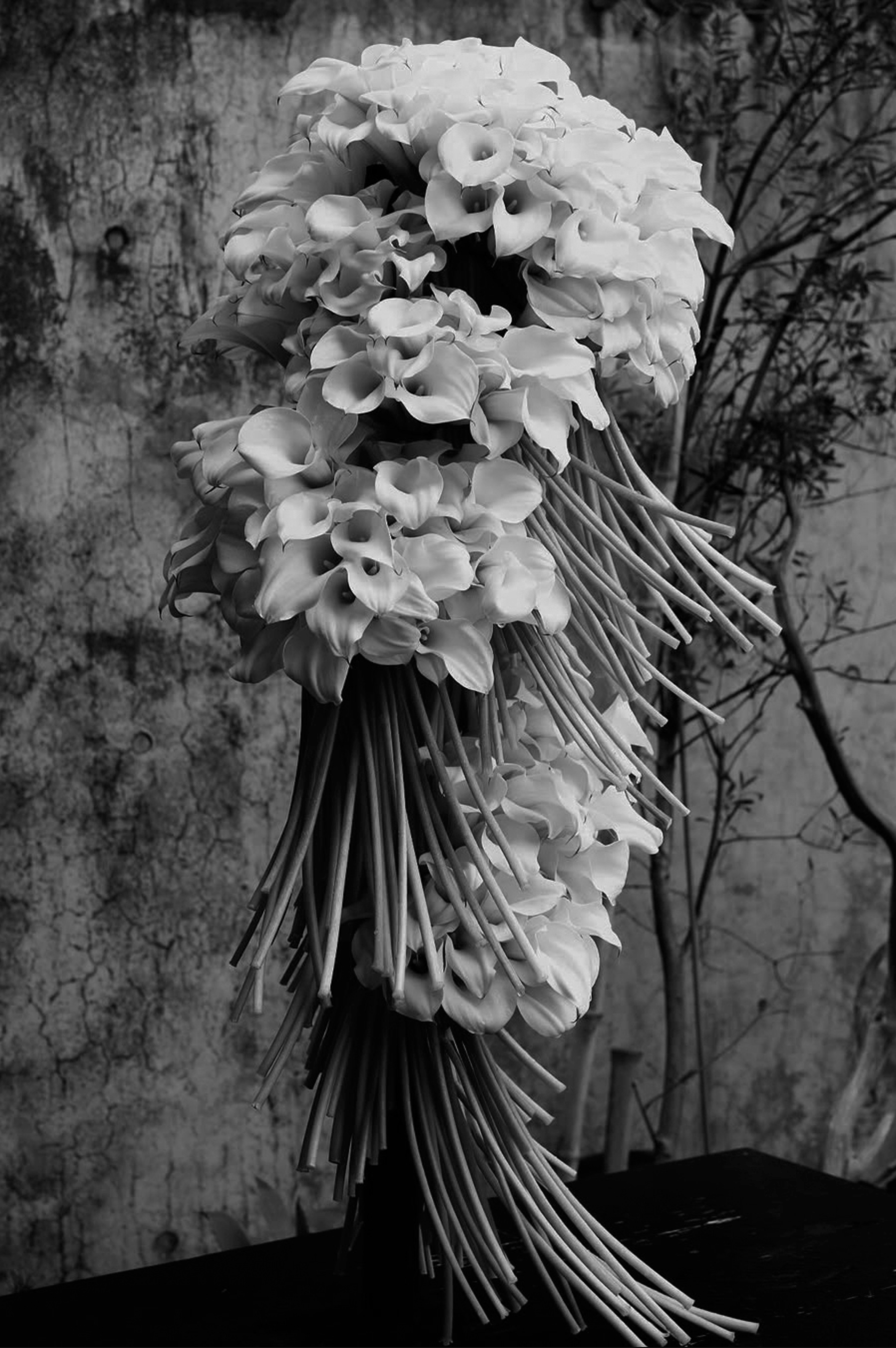 A bouquet of Calla Lillies